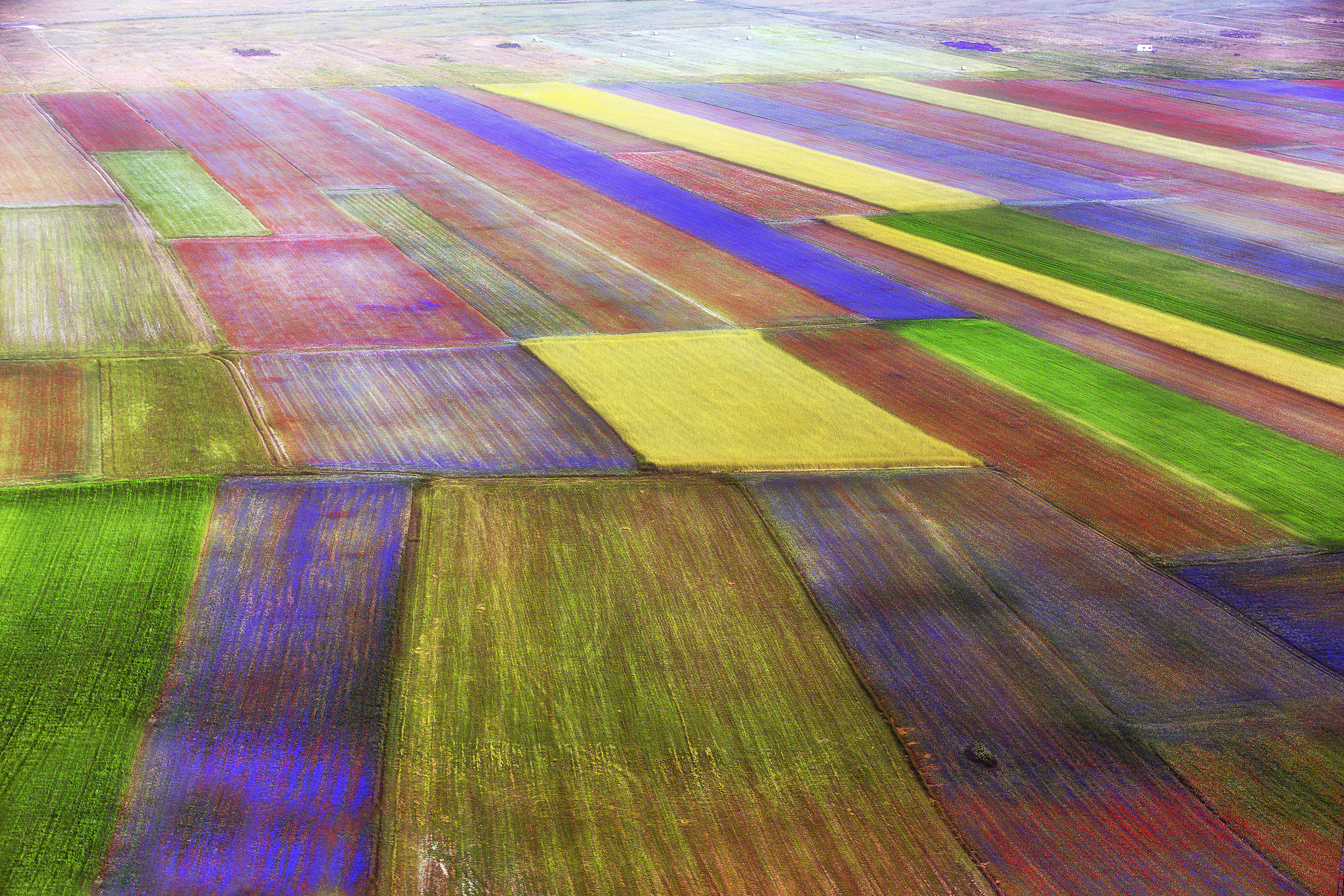 La tavolozza - Fioritura Castelluccio 2018