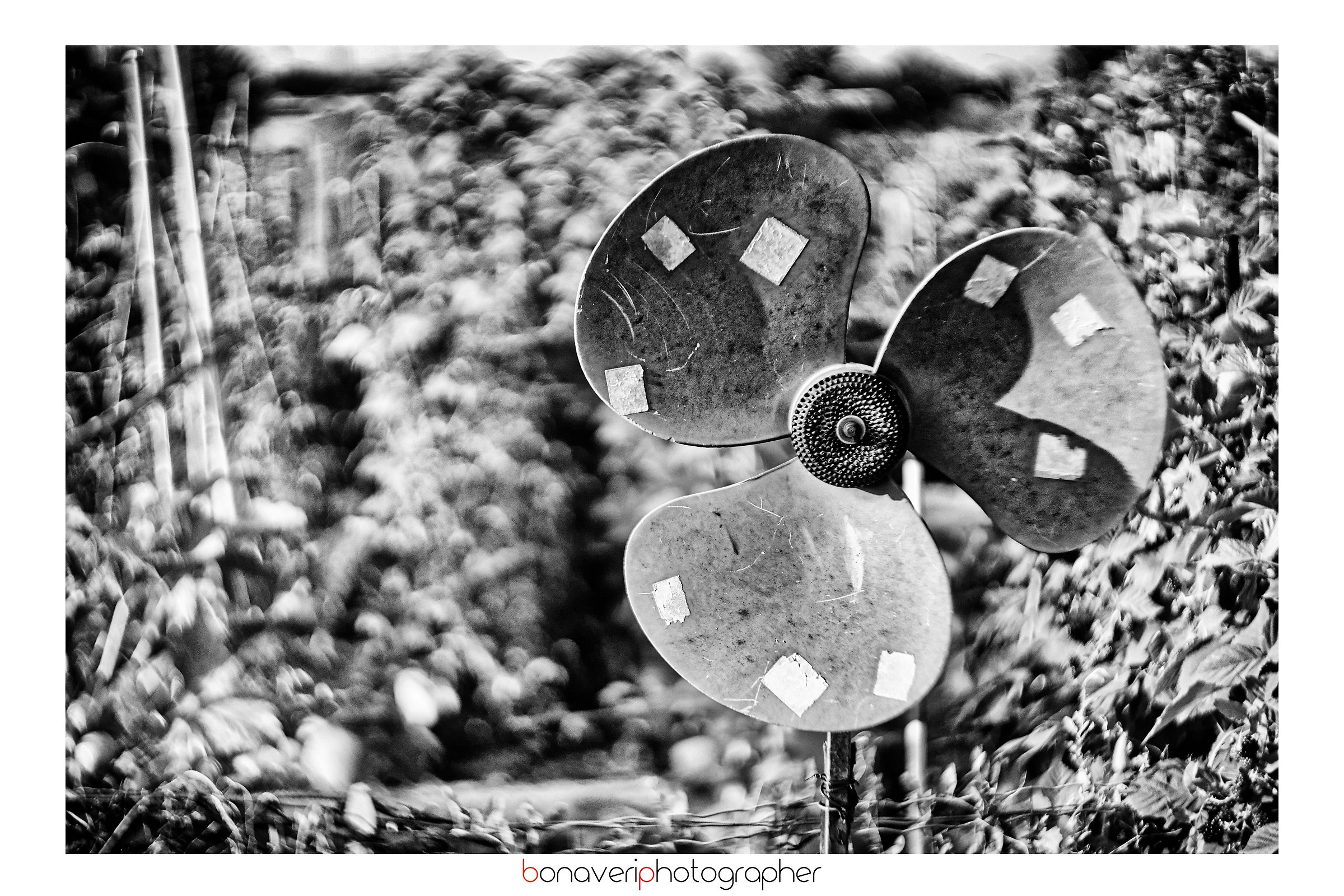 L'orto sotto il mare