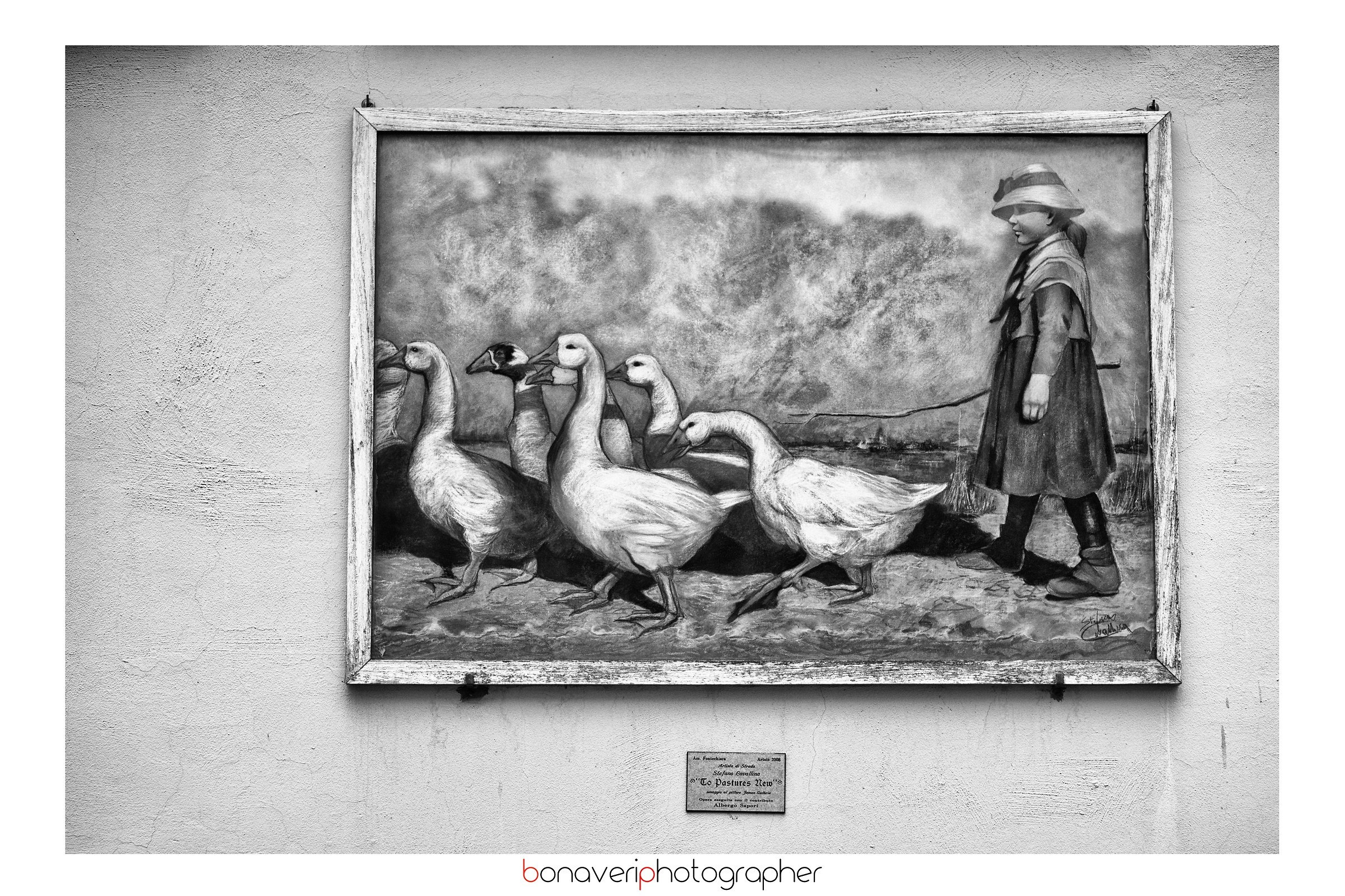 La guardiana delle oche