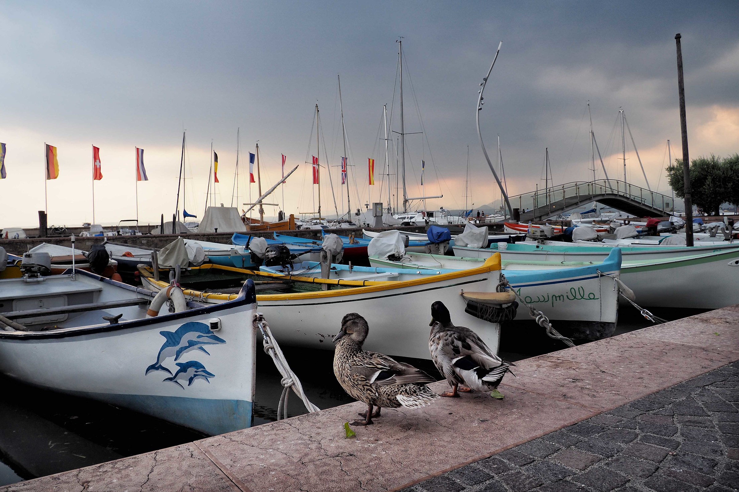 "Turiste" al lago di Garda
