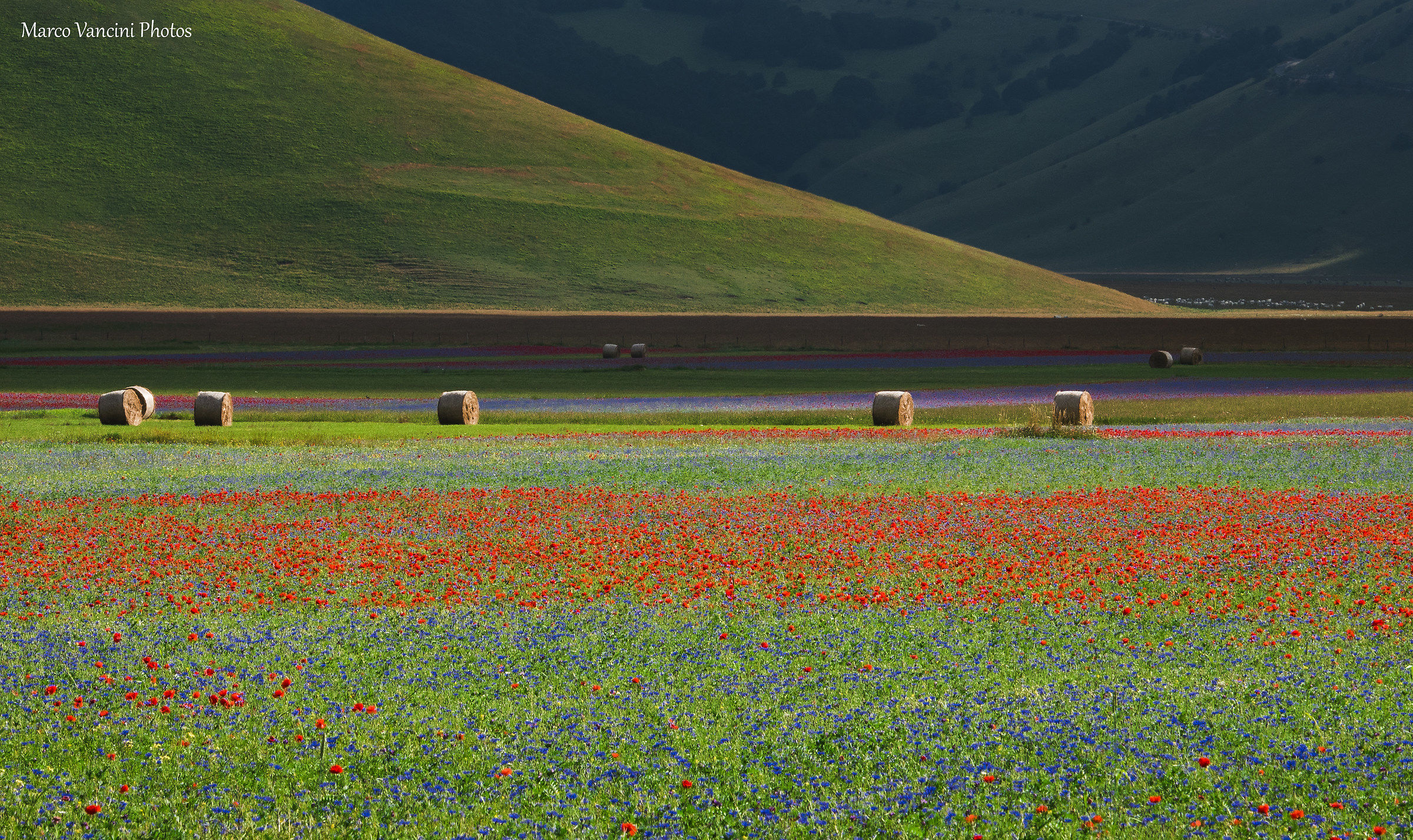 Shots from Castelluccio