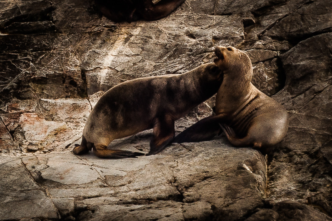 fin del mundo & Patagonia