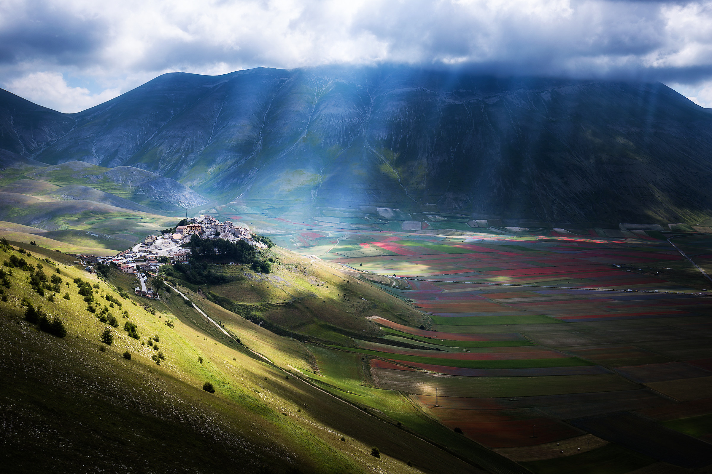 Castelluccio in fiore