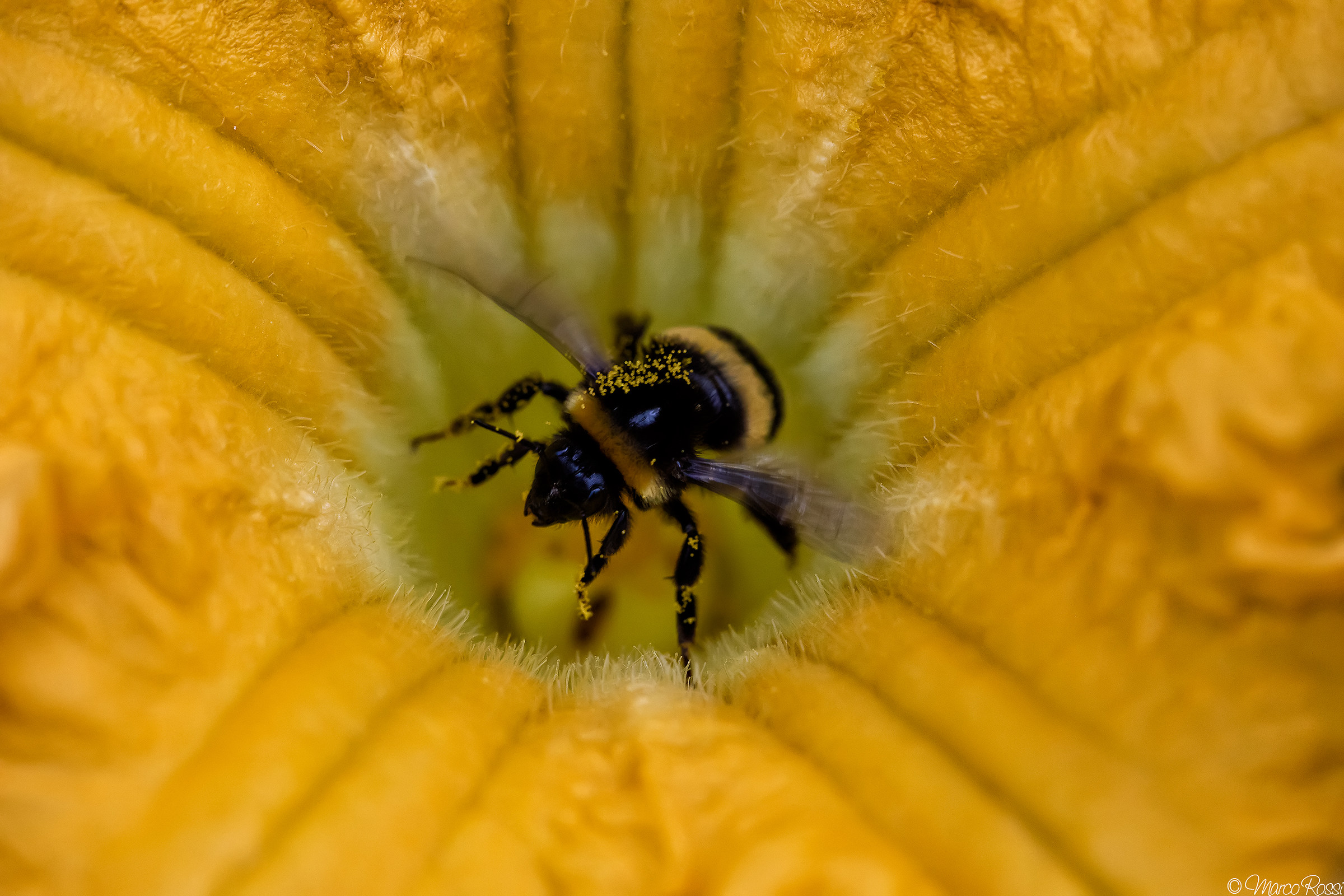 Takeoff after refueling:)