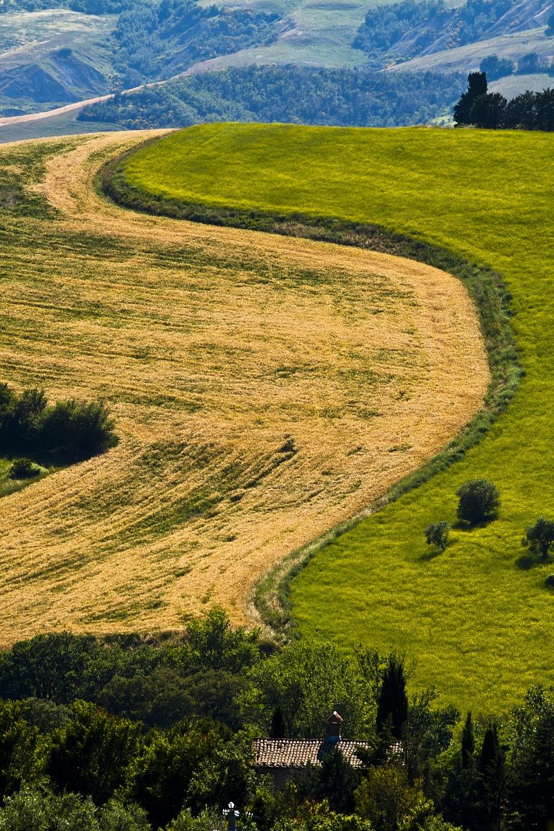 paesaggio toscano