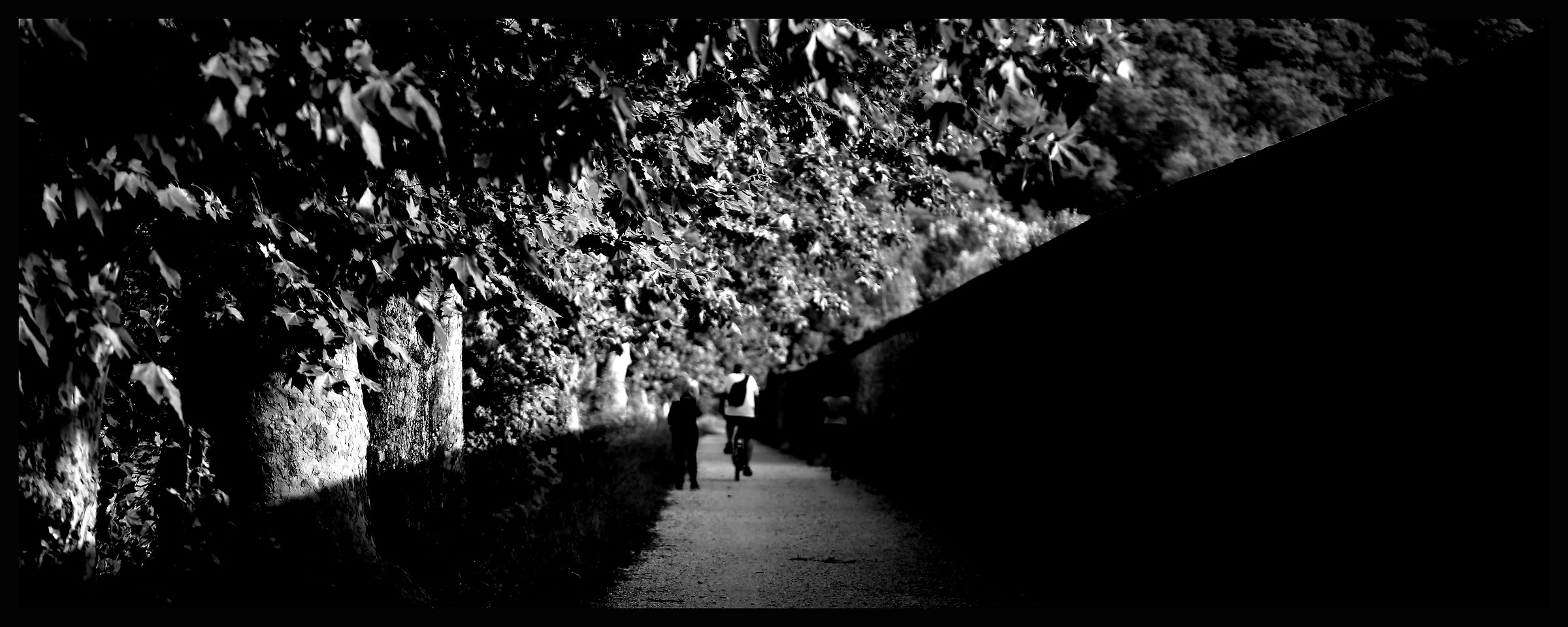 Rectangles triangles