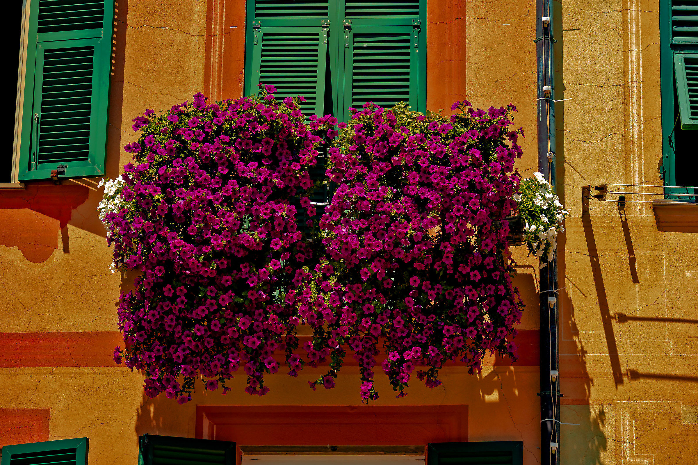 The windows of Santa