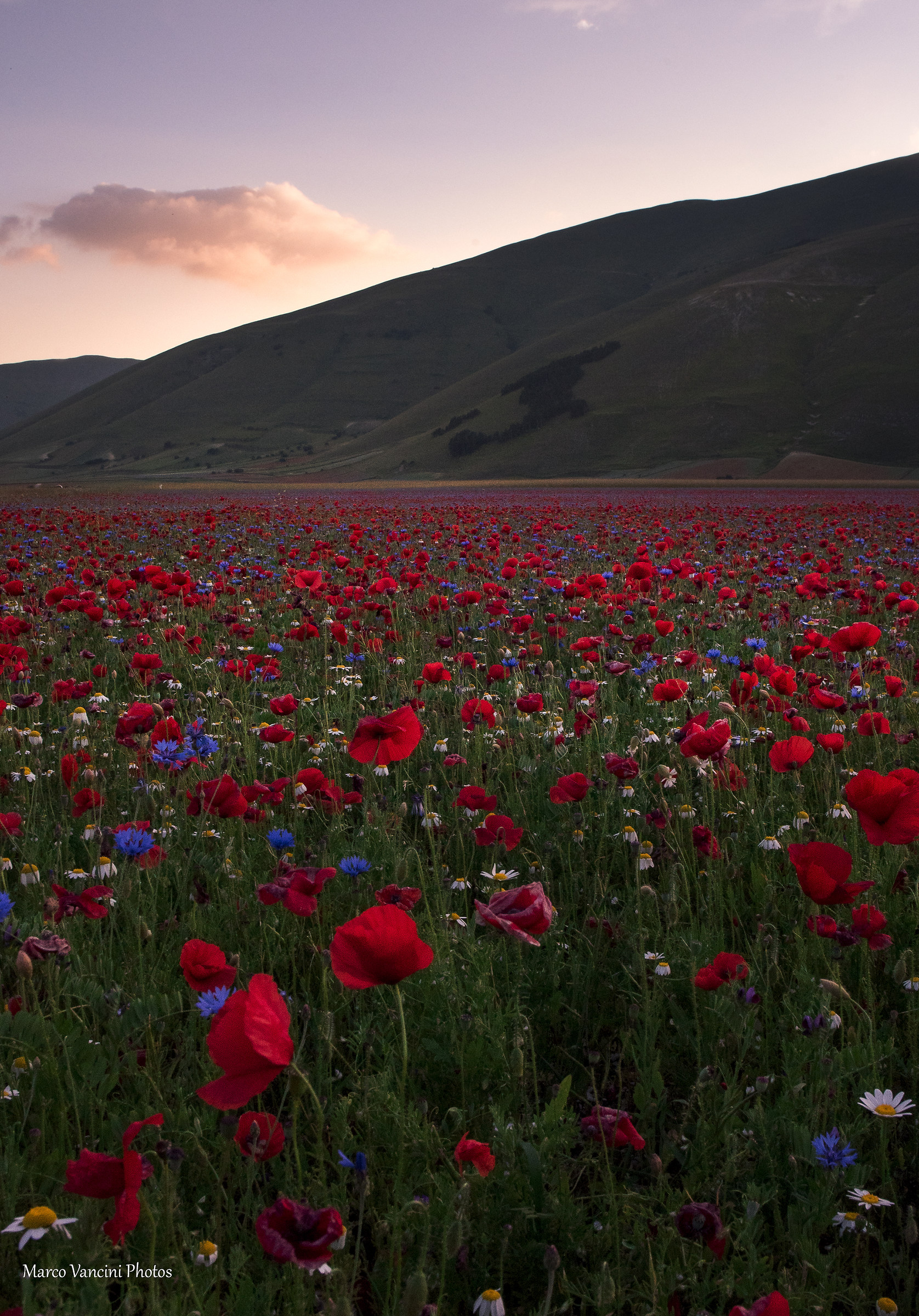 In the heart of Italy, the Paradise