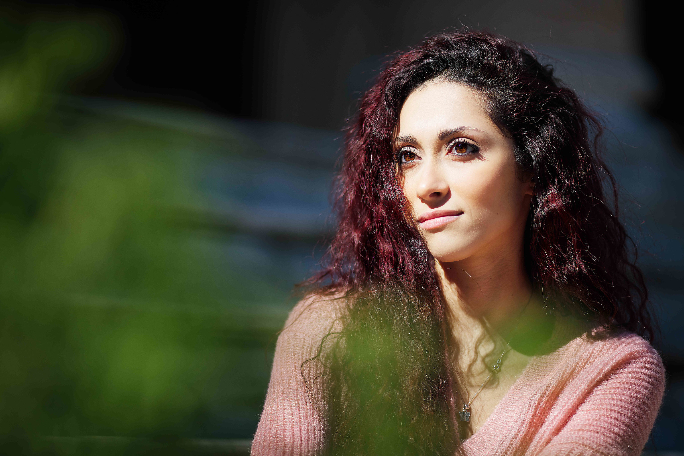 Vane a Villa Malfitana