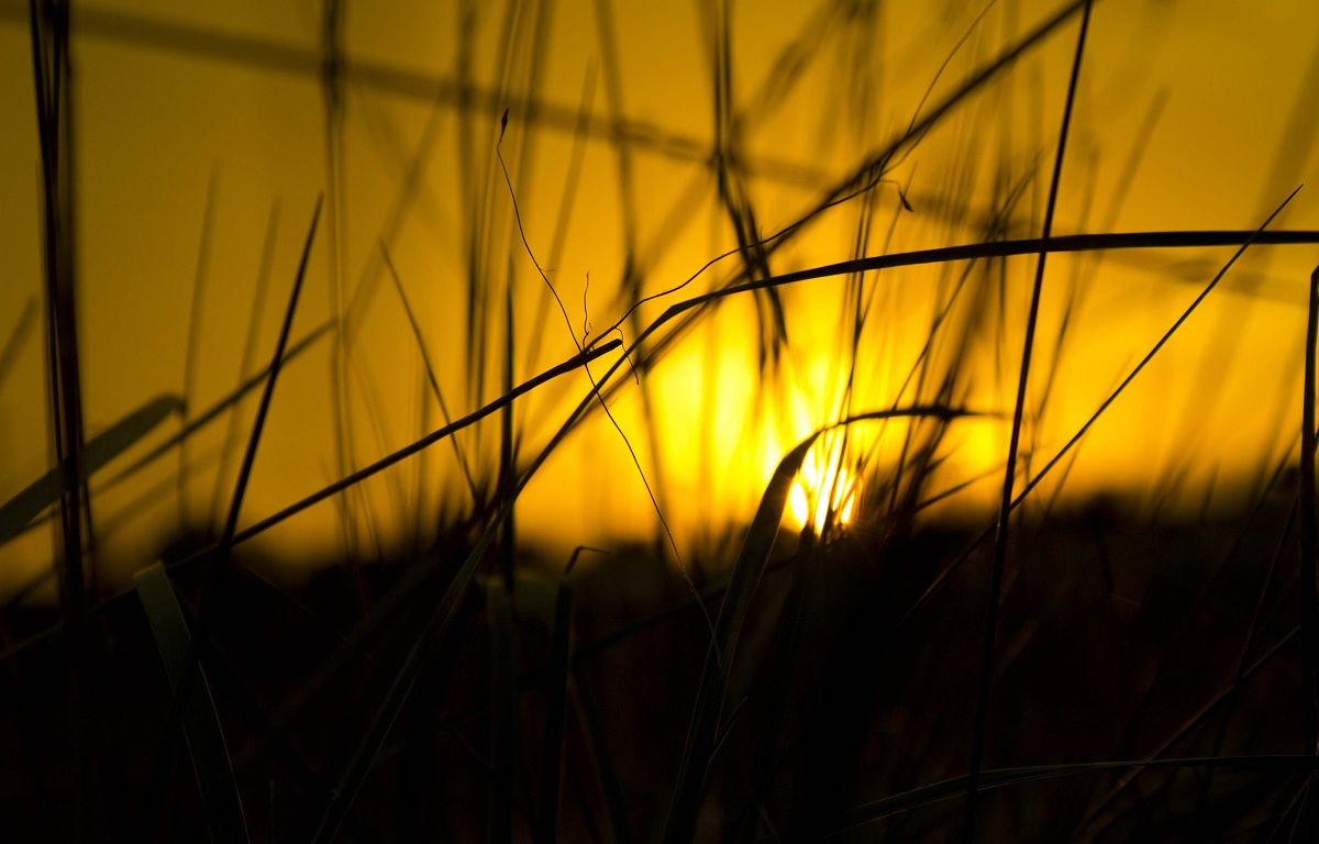 The mystery of nature