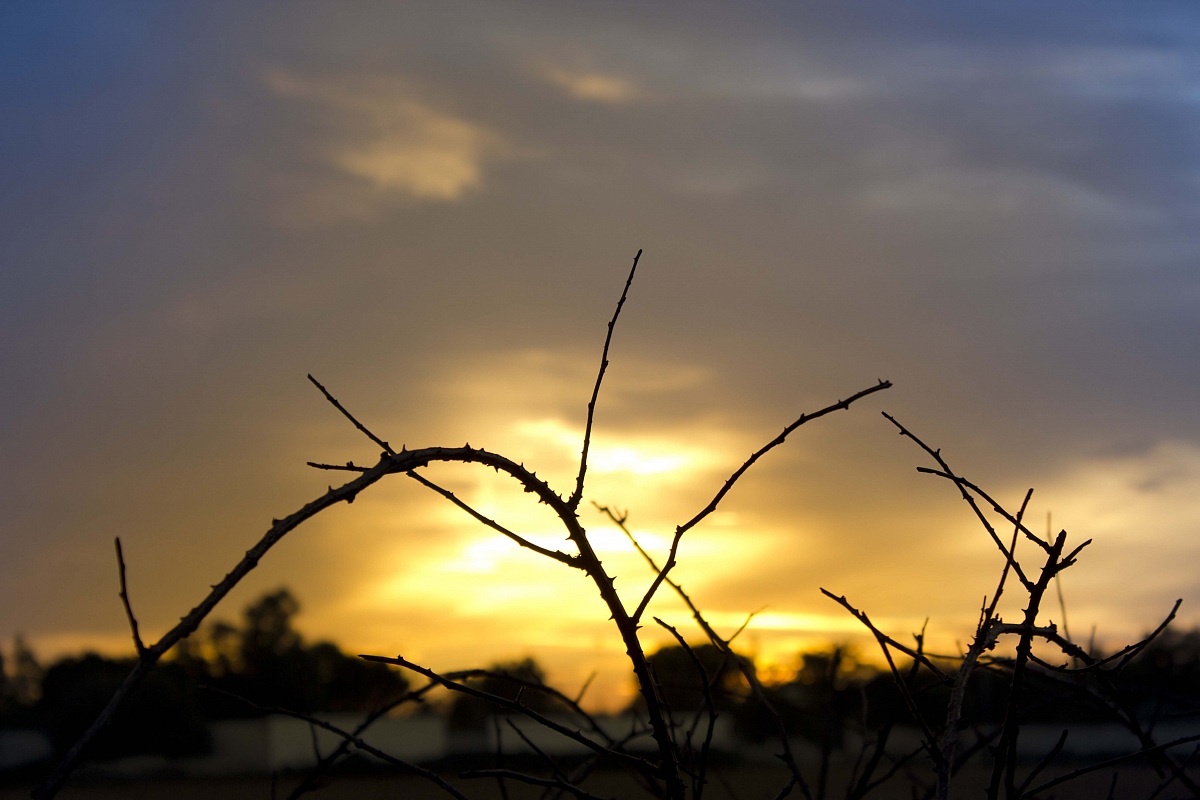 The finite and the infinite