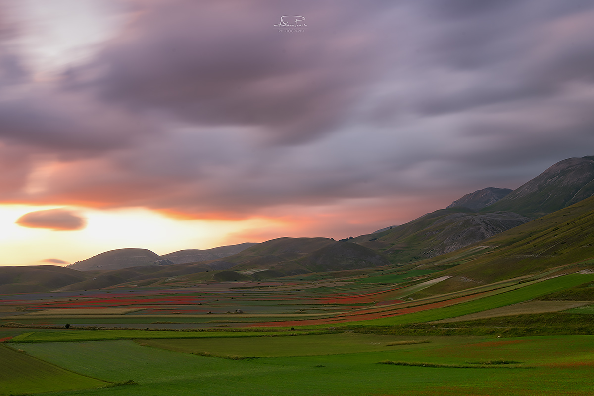 Flowering Castelluccio di Norcia, the Soul and the Wind