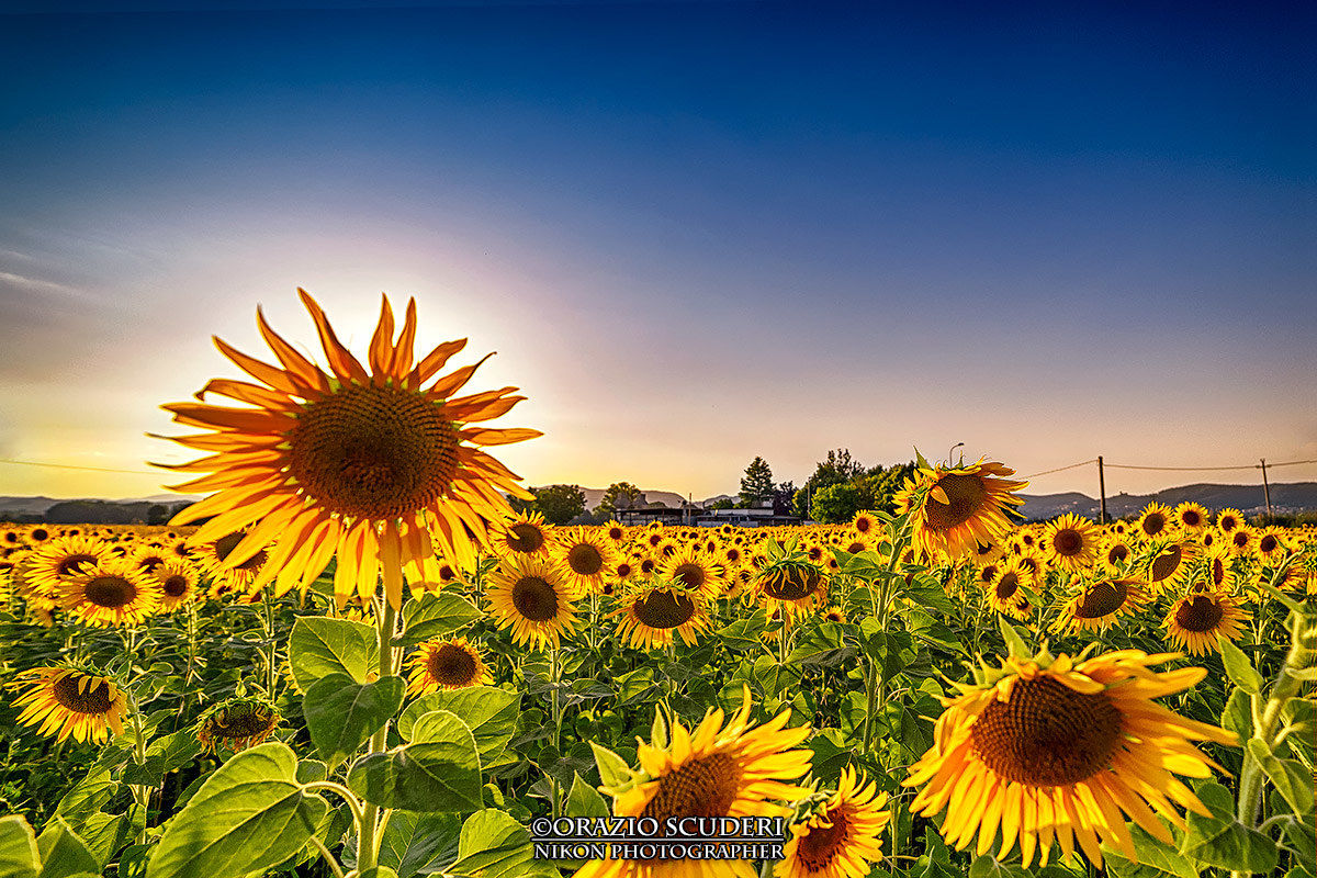 Saluta tutti e bye bye...