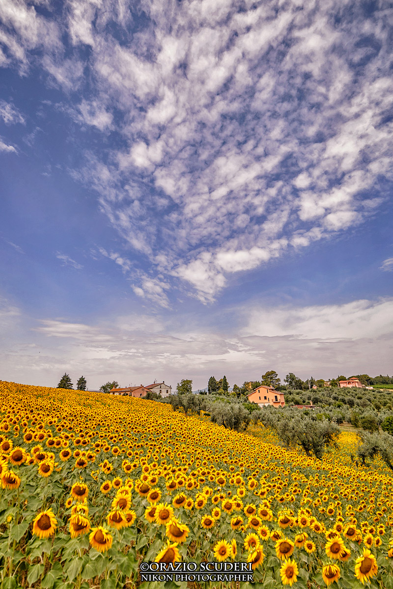 Sotto un Cielo cosi...