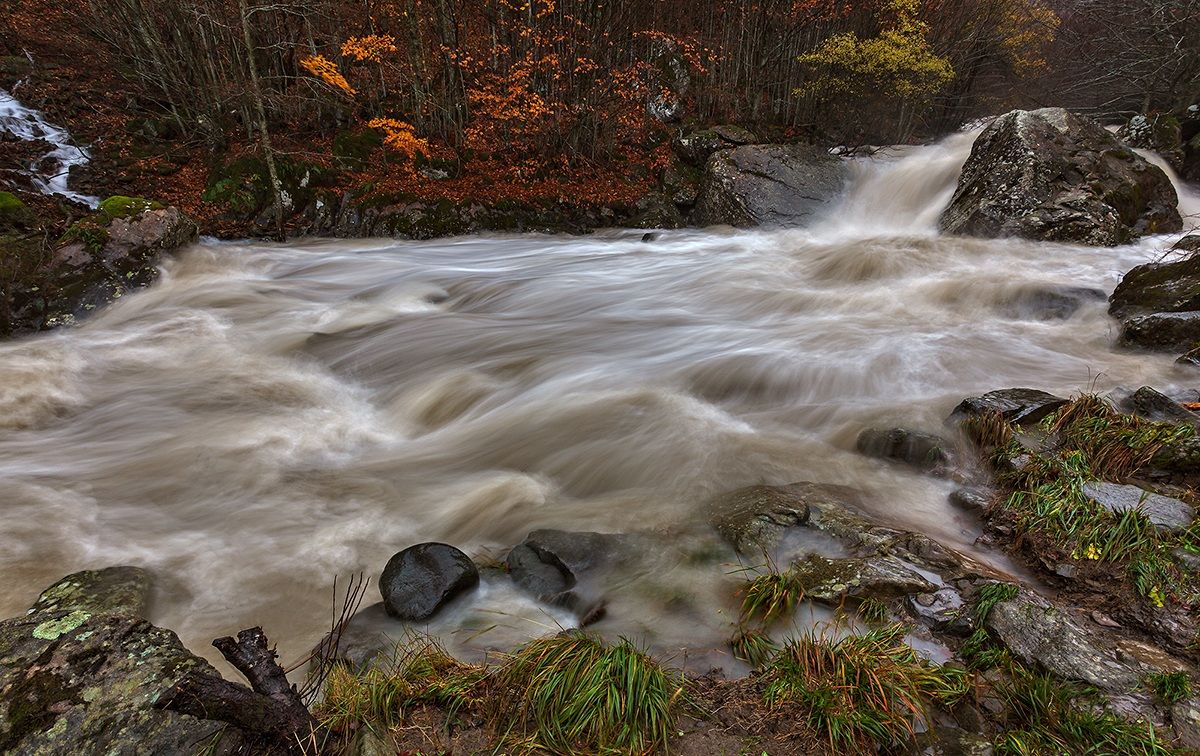 Anche il Dolo, a volte, nel suo piccolo s'incazza!