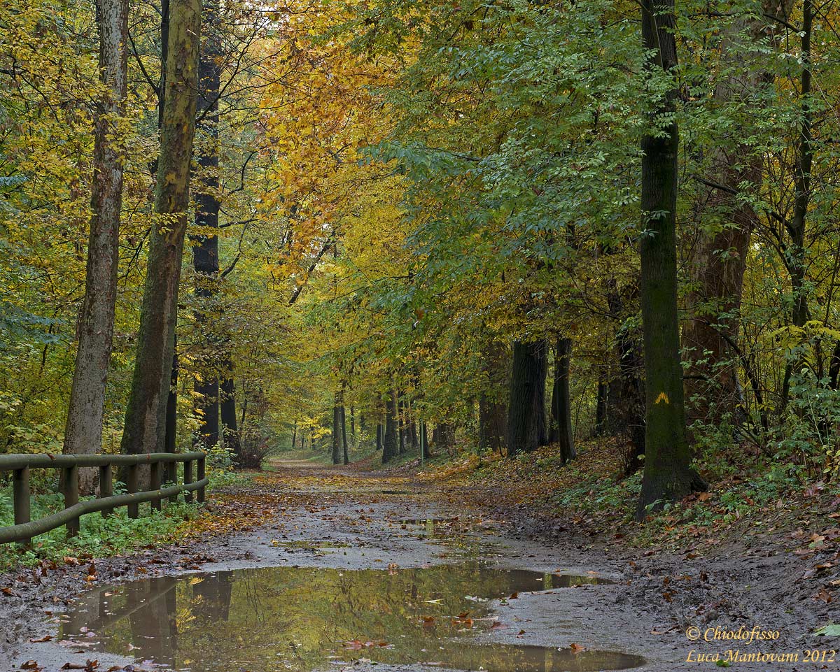 Al parco una domenica di pioggia 1