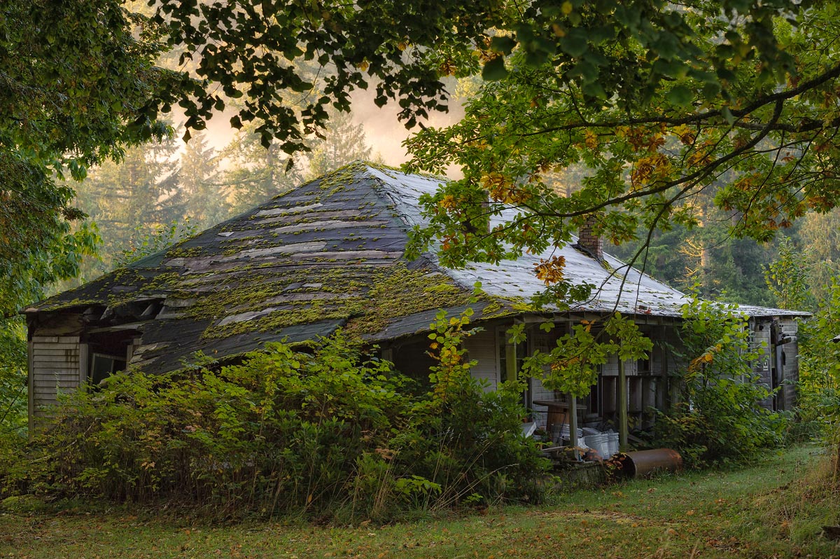 The Witch's House, NW Washington