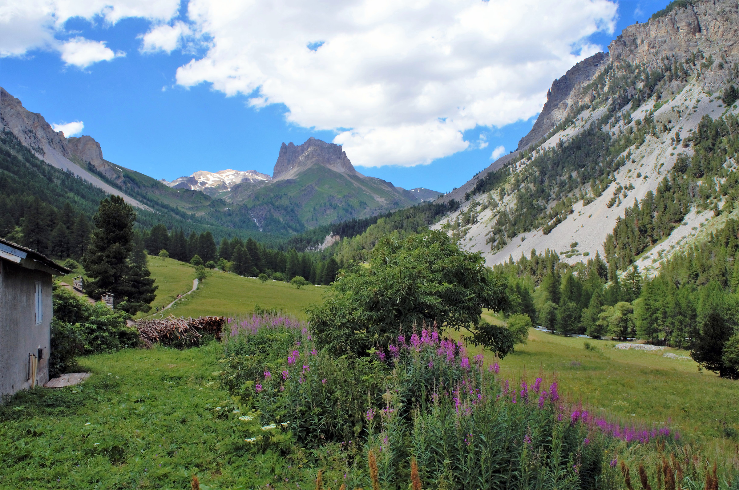 Mount Tabor in the distance