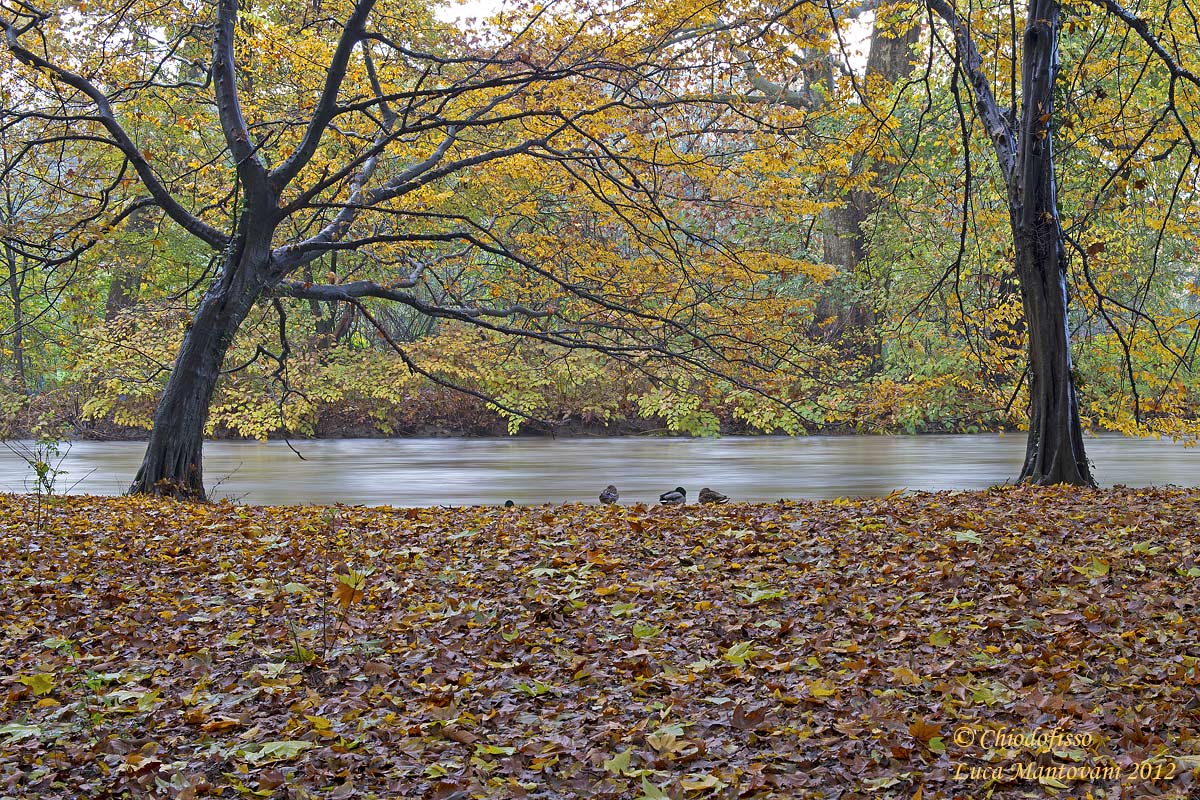 Al parco una domenica di pioggia 2
