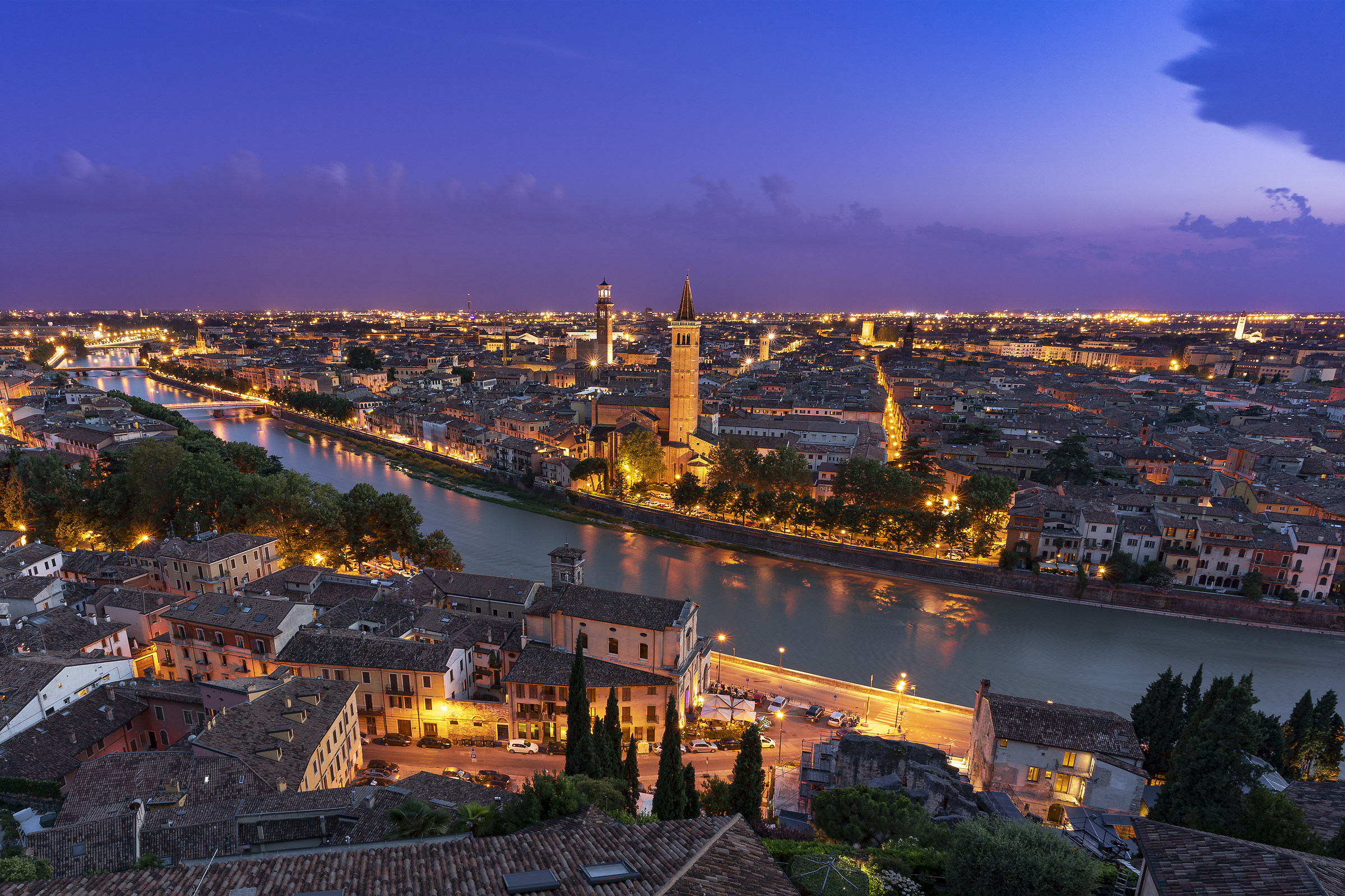 Verona in Purple