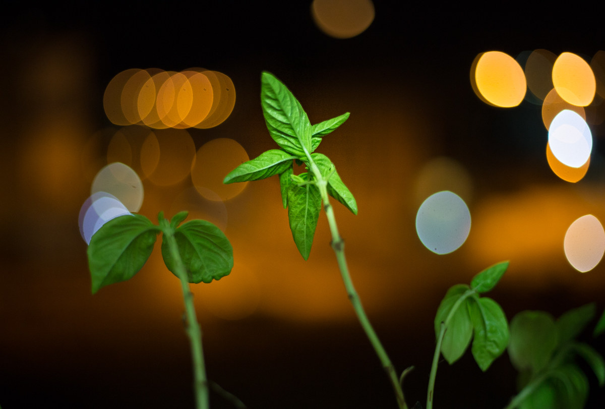 Una stellina la mettiamo noi...