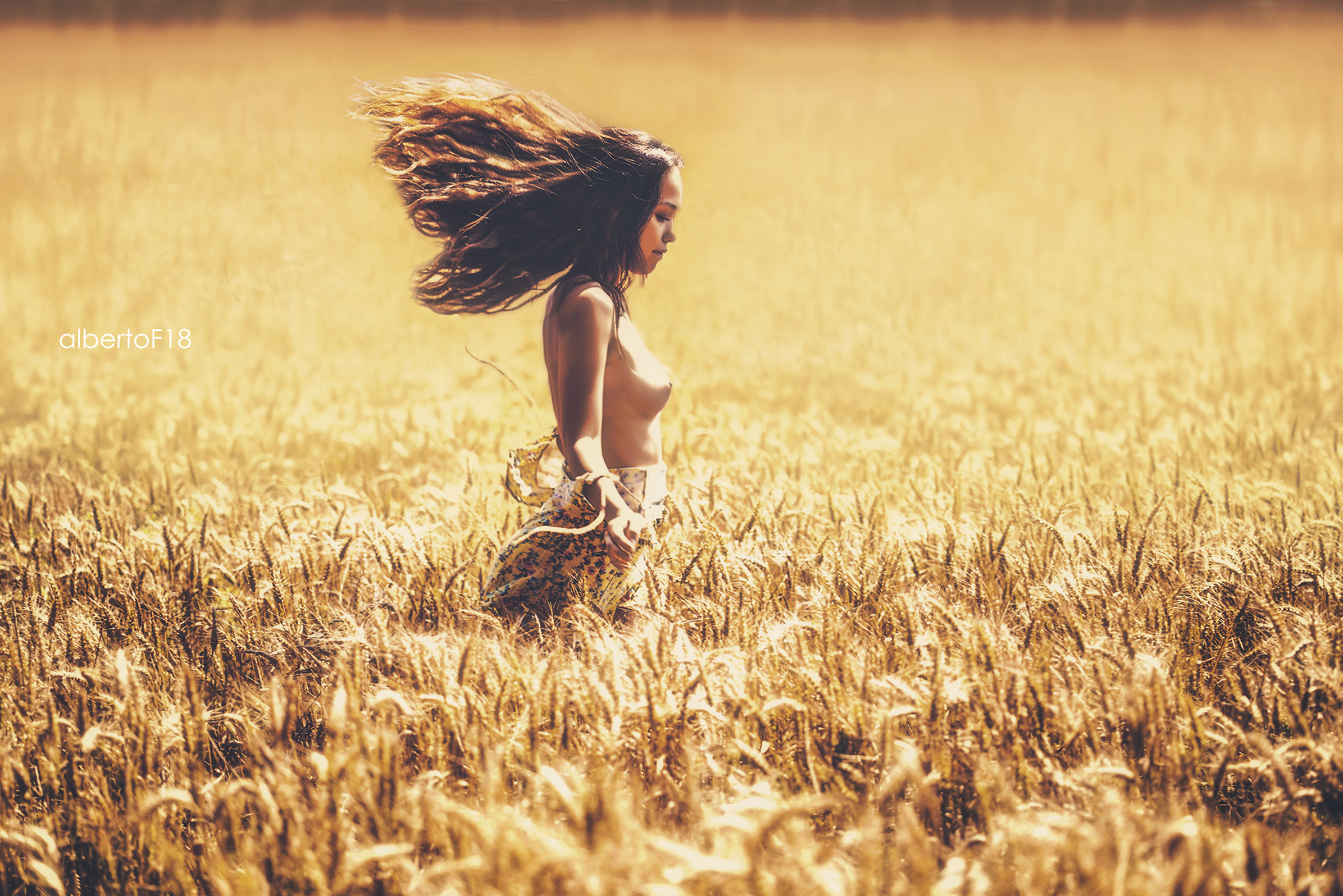 sogno di un mezzogiorno di mezzestate