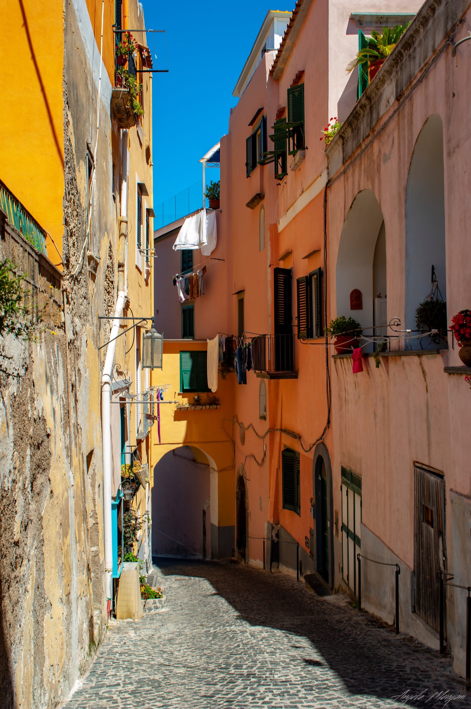 Glimpse Procida 5