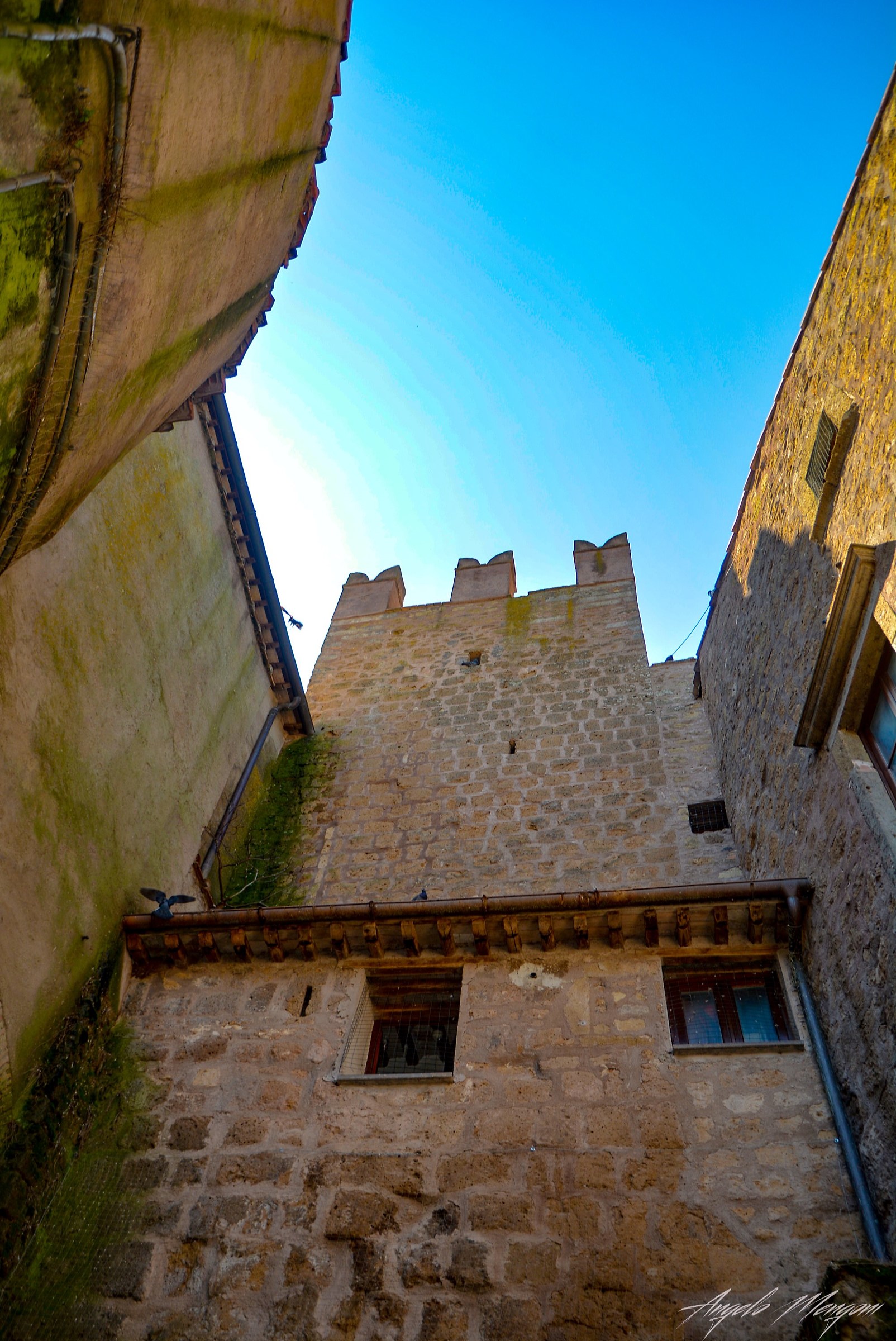 Calcata foreshortening 1