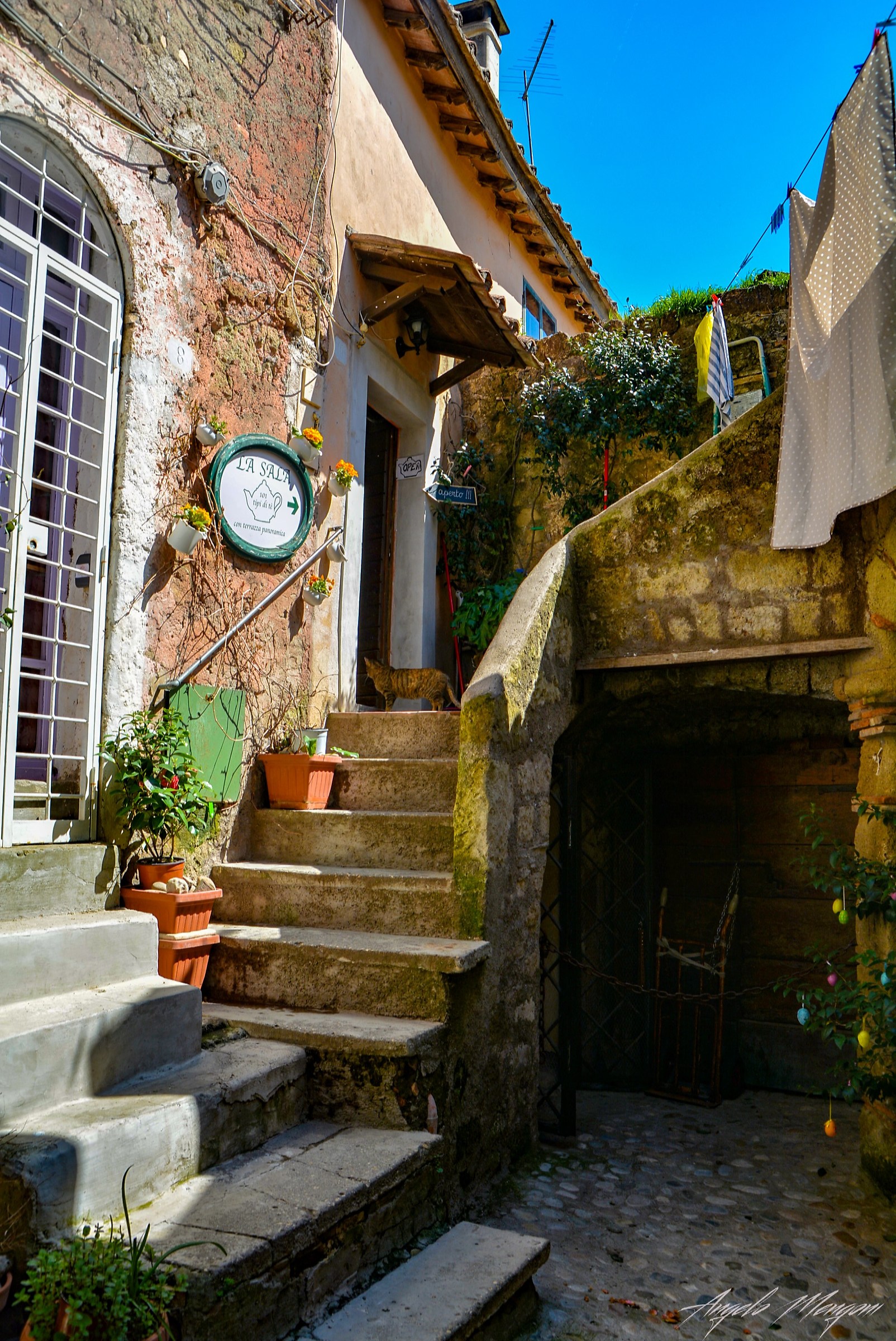 Calcata foreshortening 6