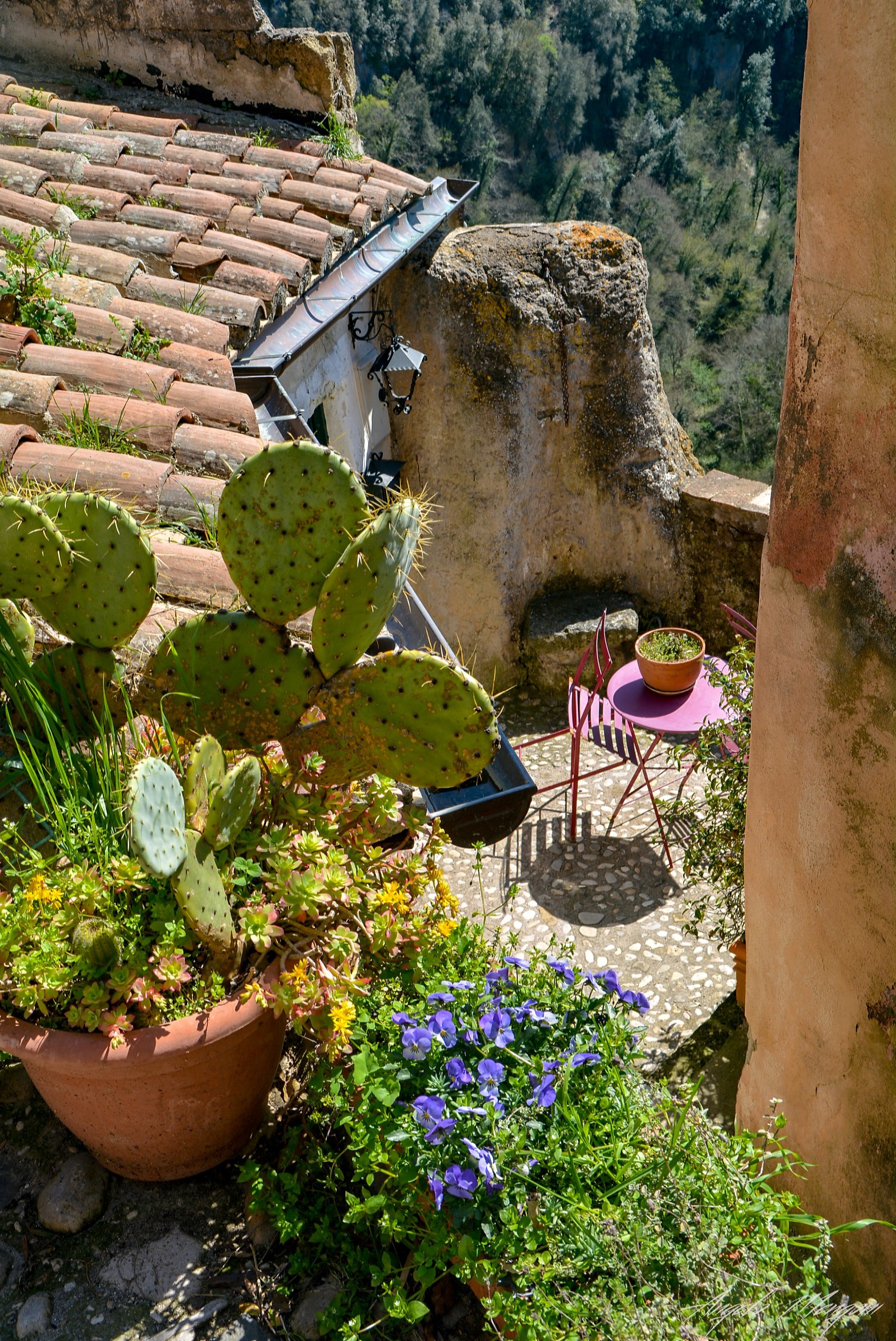 Calcata foreshortening 8