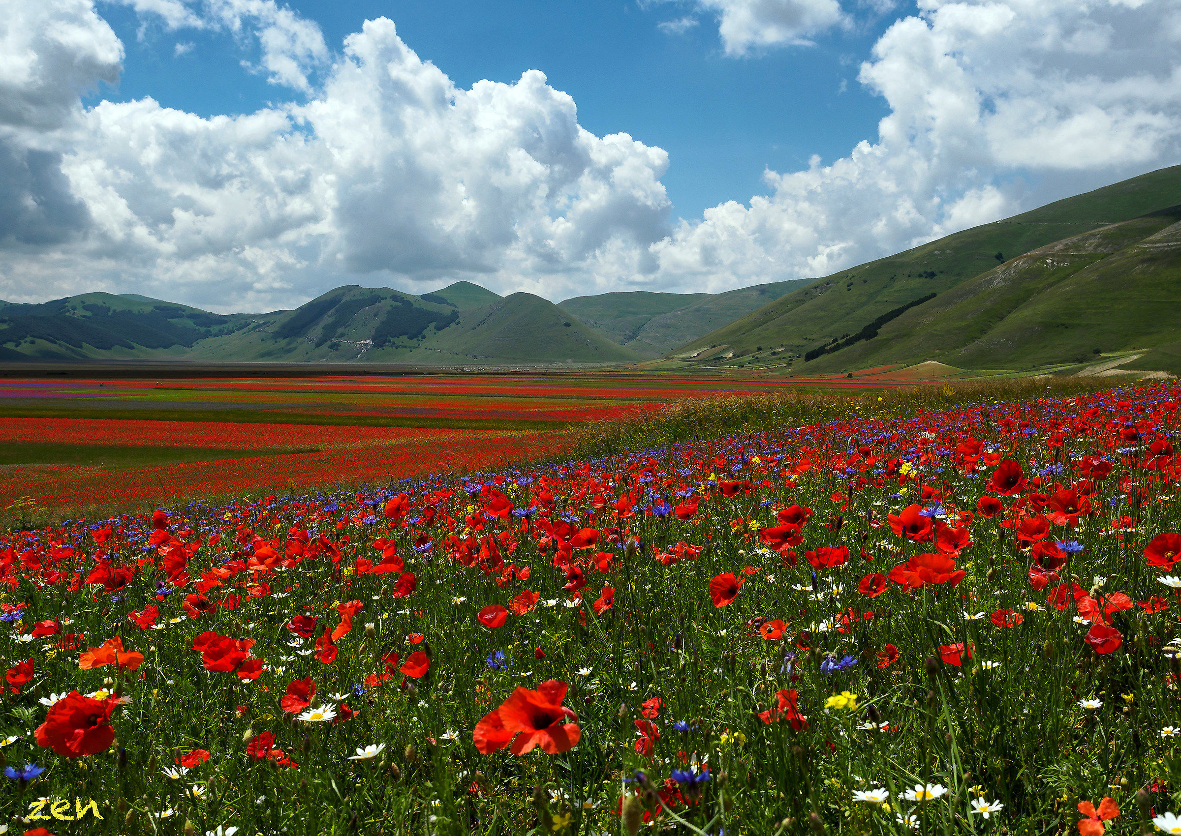 Castelluccio
