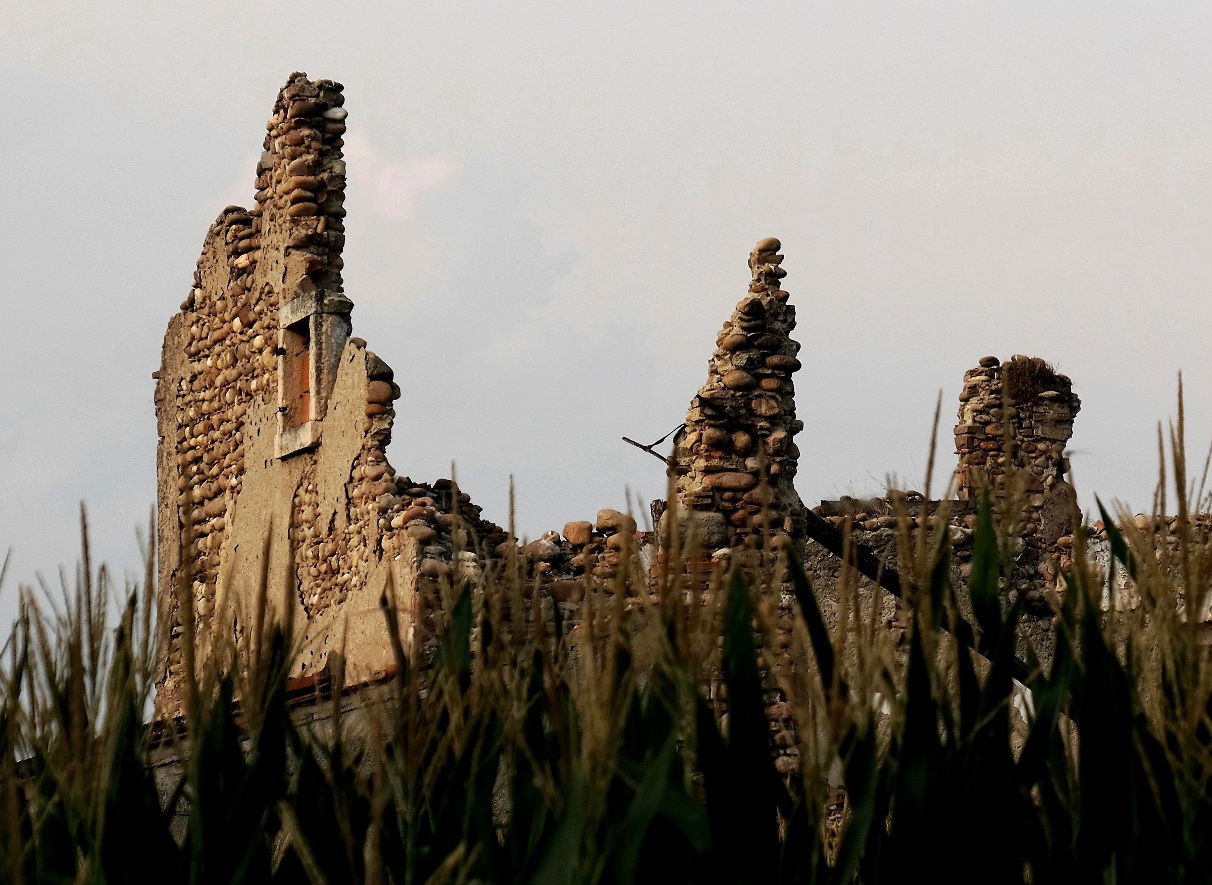 Resist to the bitter