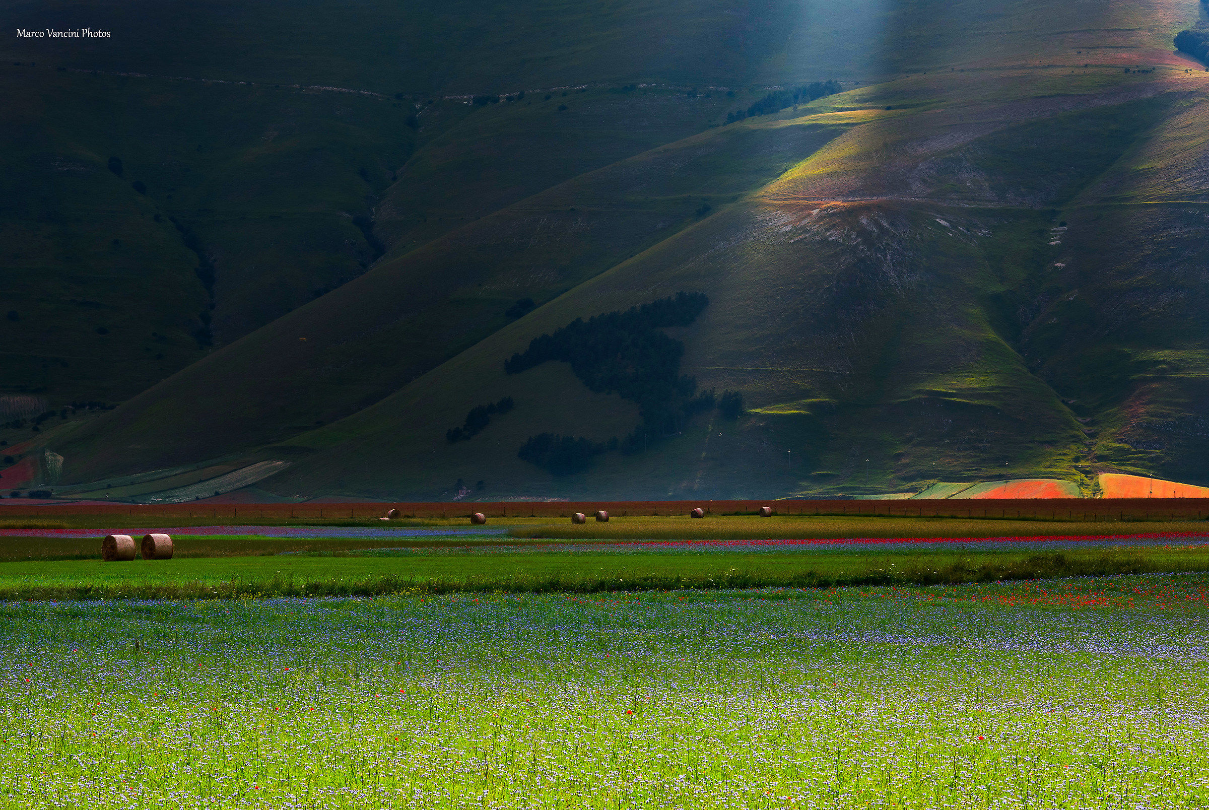 Magic Castelluccio