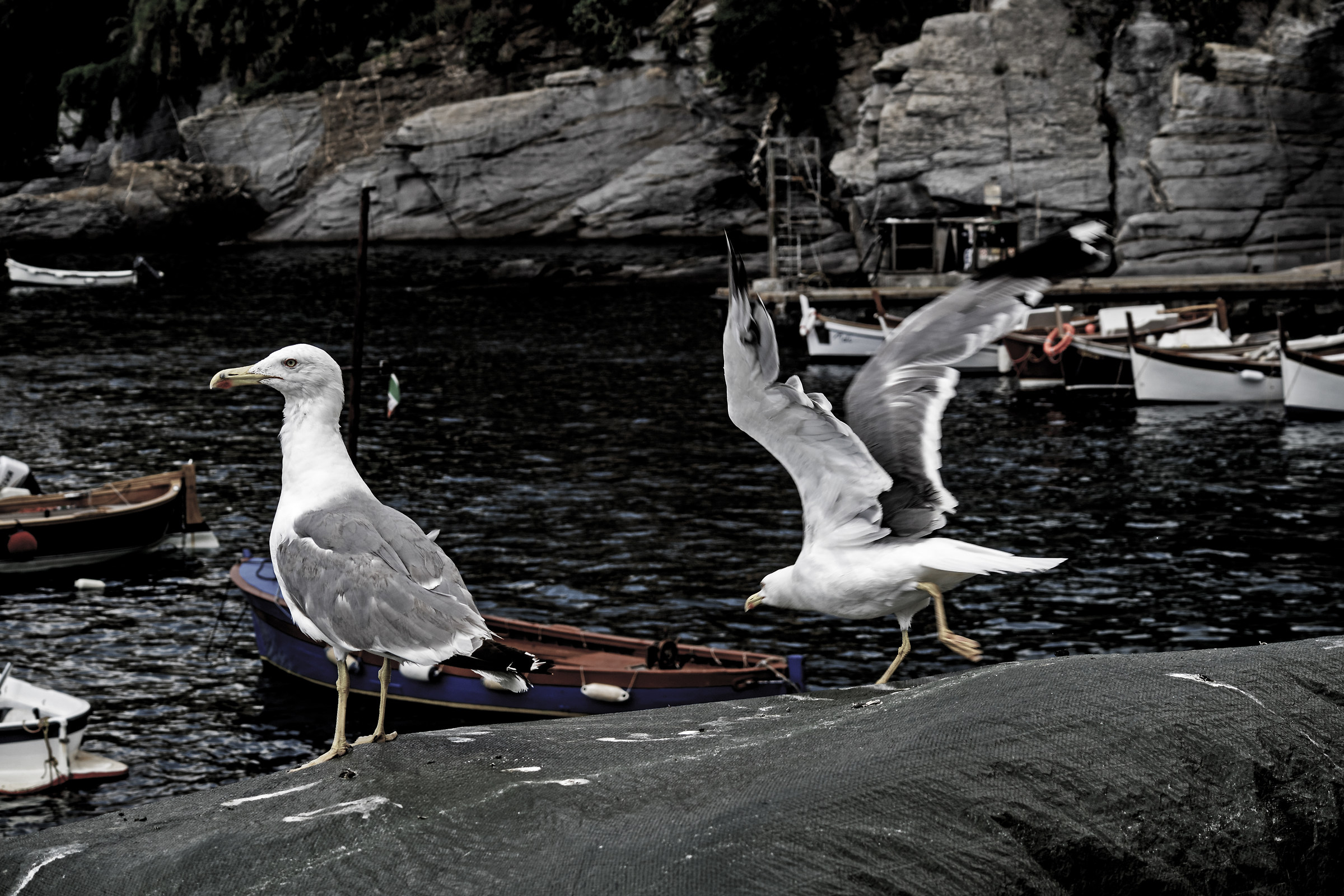 Mi Hai scocciato, me ne vado