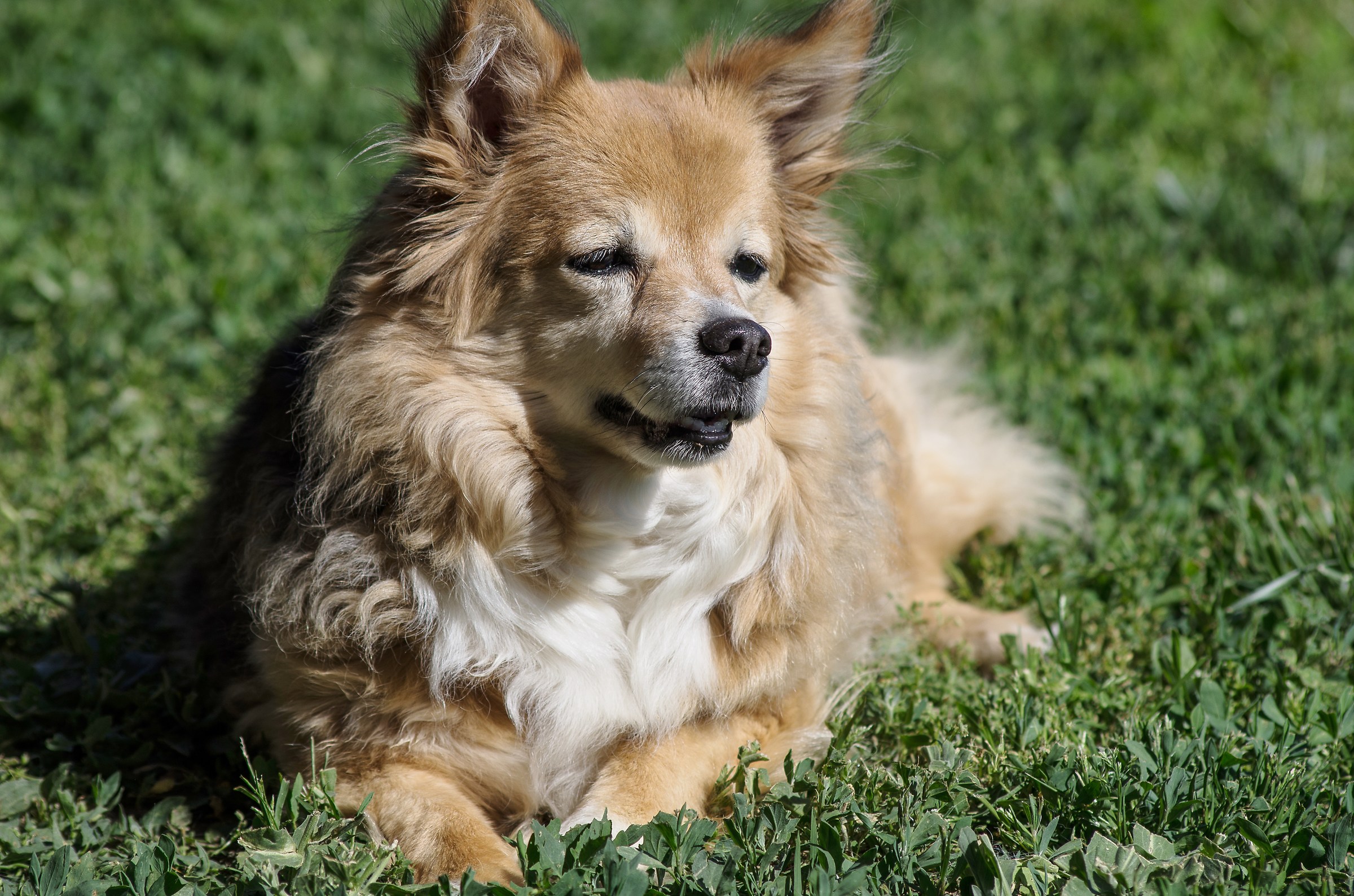 Winny. Pelosetta My..