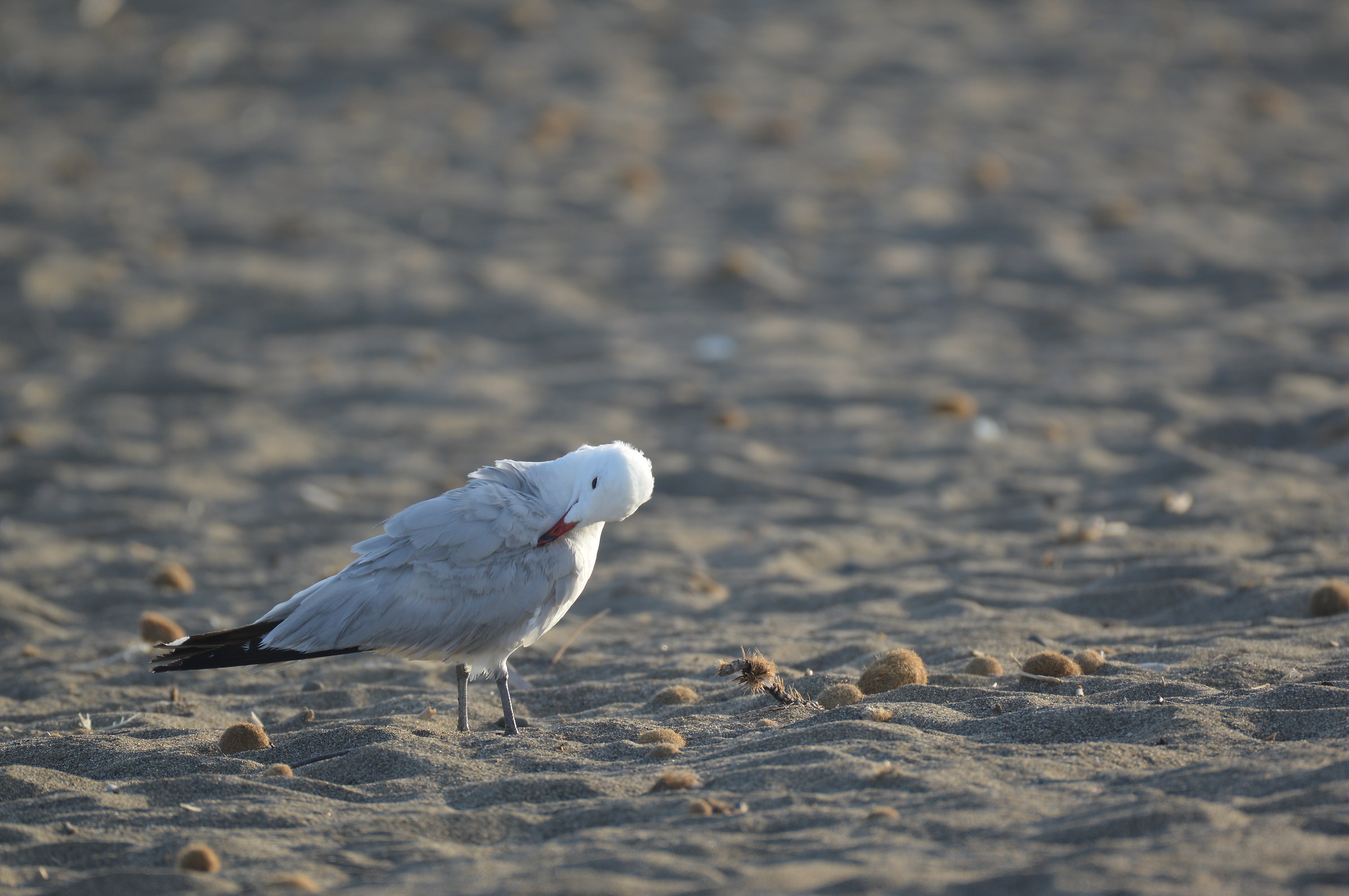 Wiping between sponges