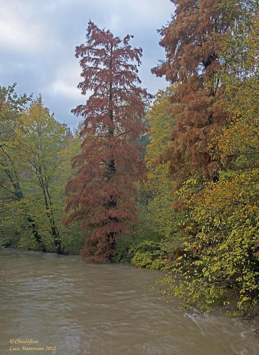 Al parco una domenica di pioggia 3
