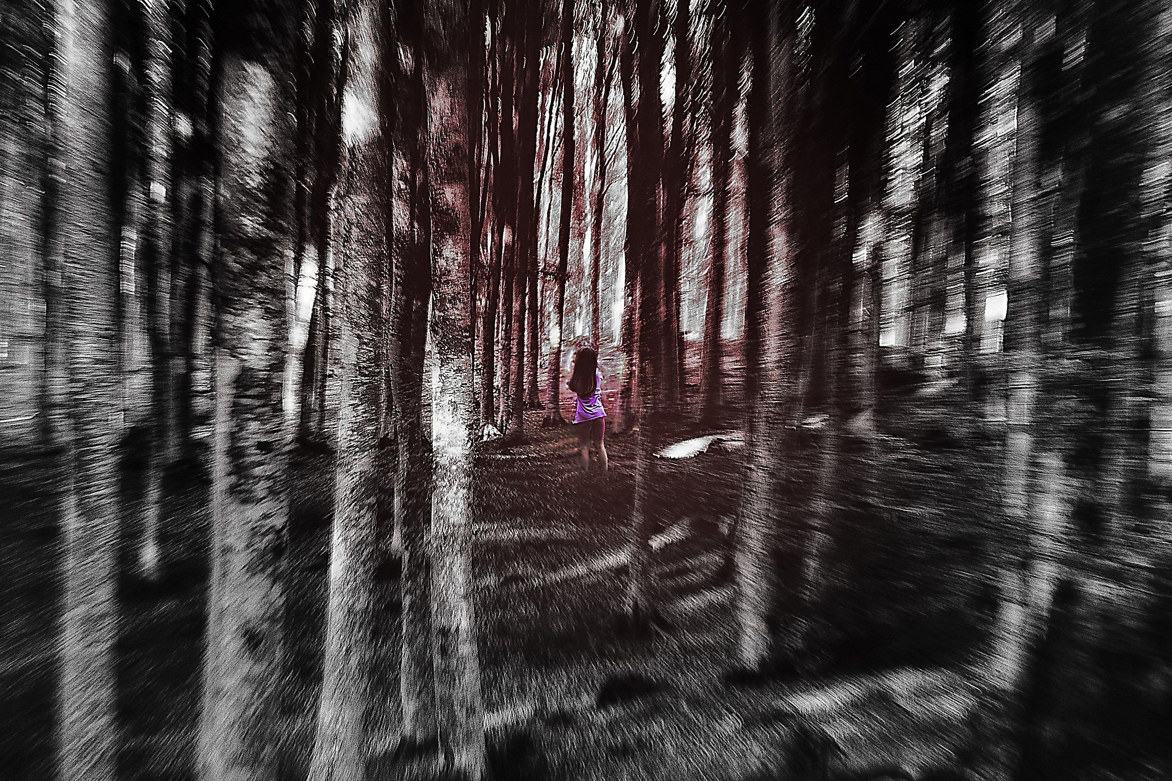 non andare nel bosco