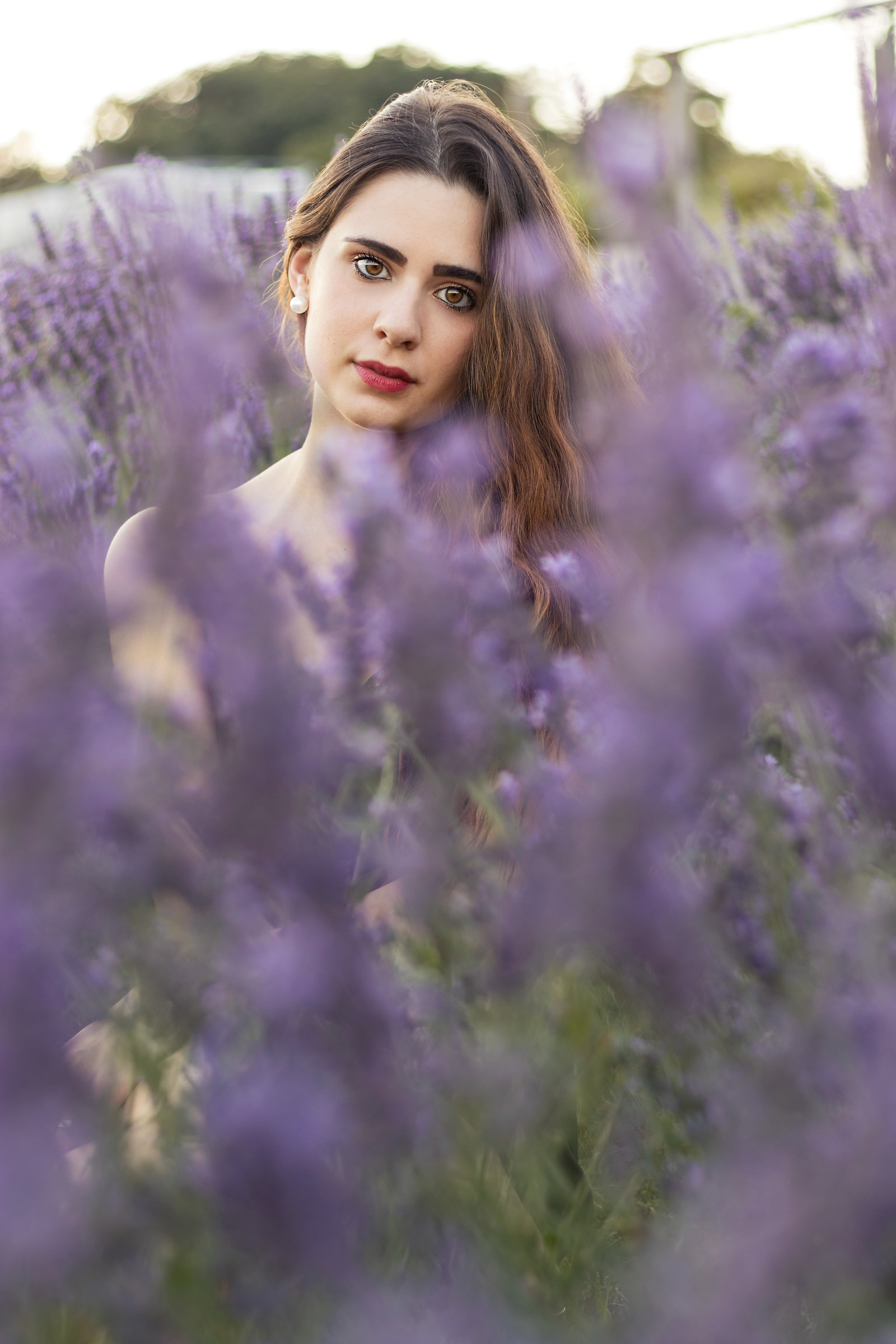 Sabrina - Lavanda III