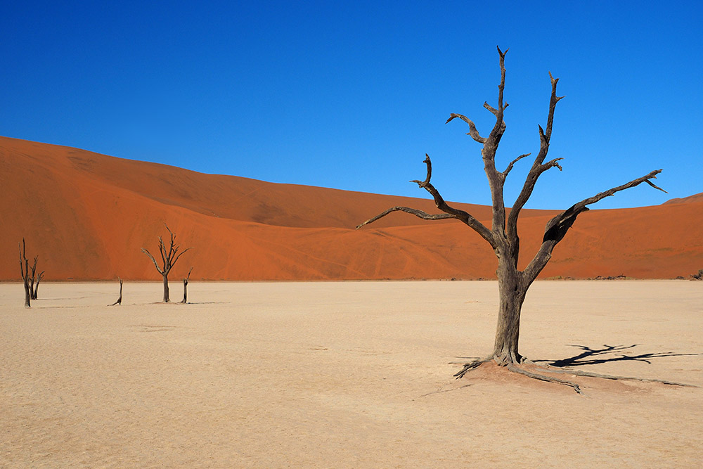 deadvlei
