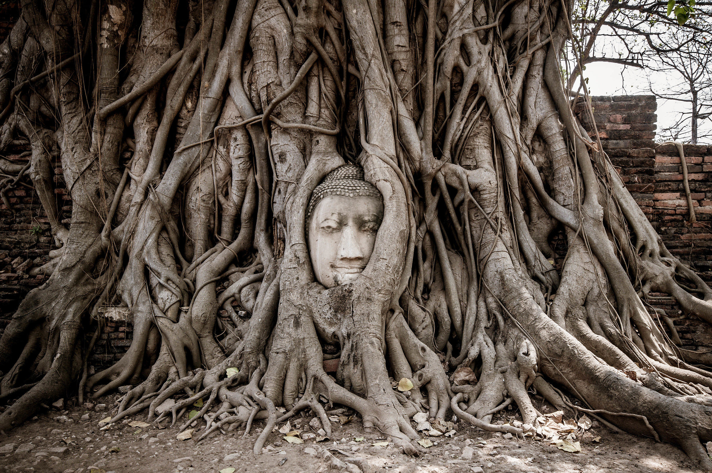 Ayutthaia-The Sacred city
