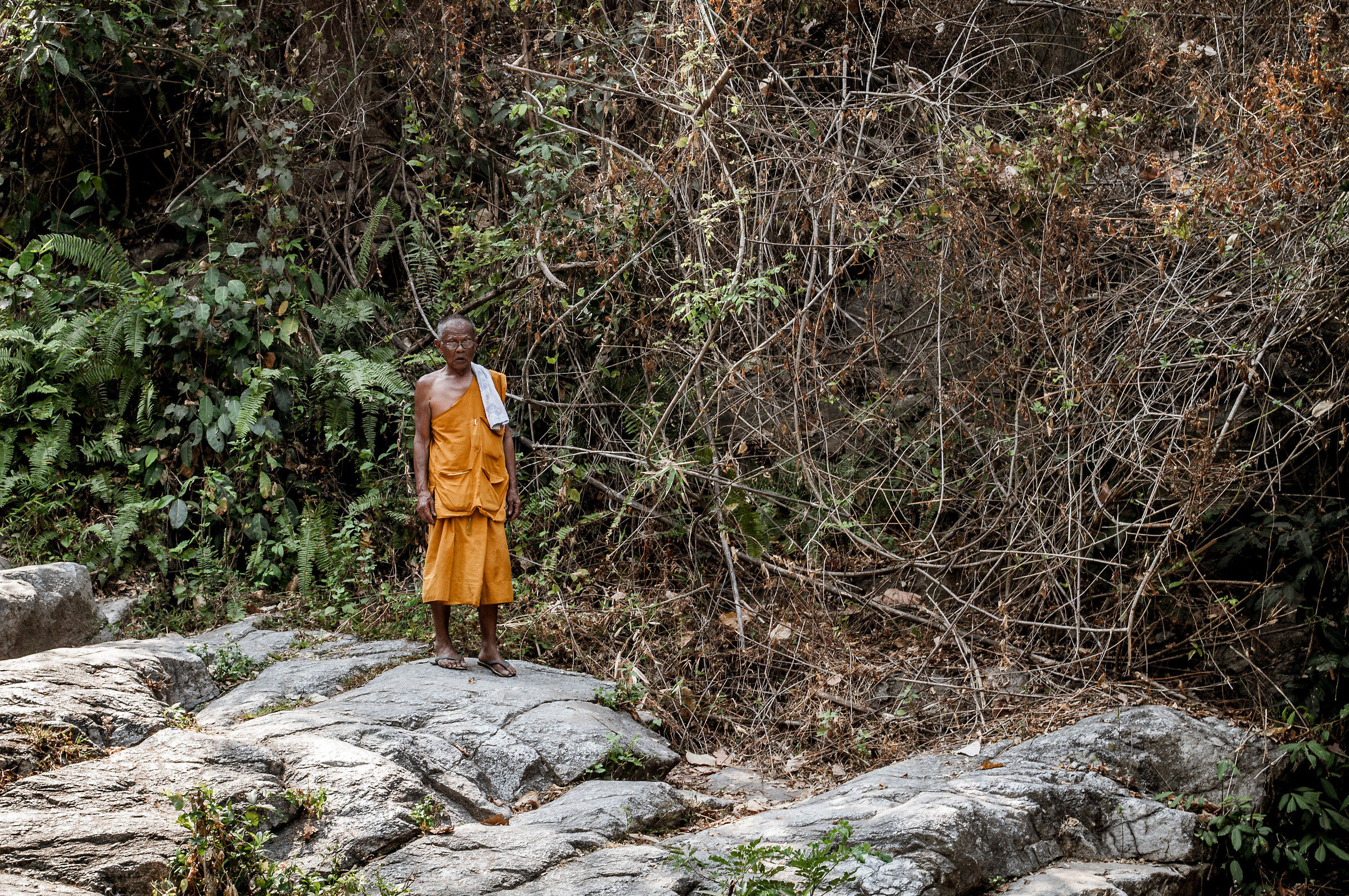 Buddhist monk in the forest