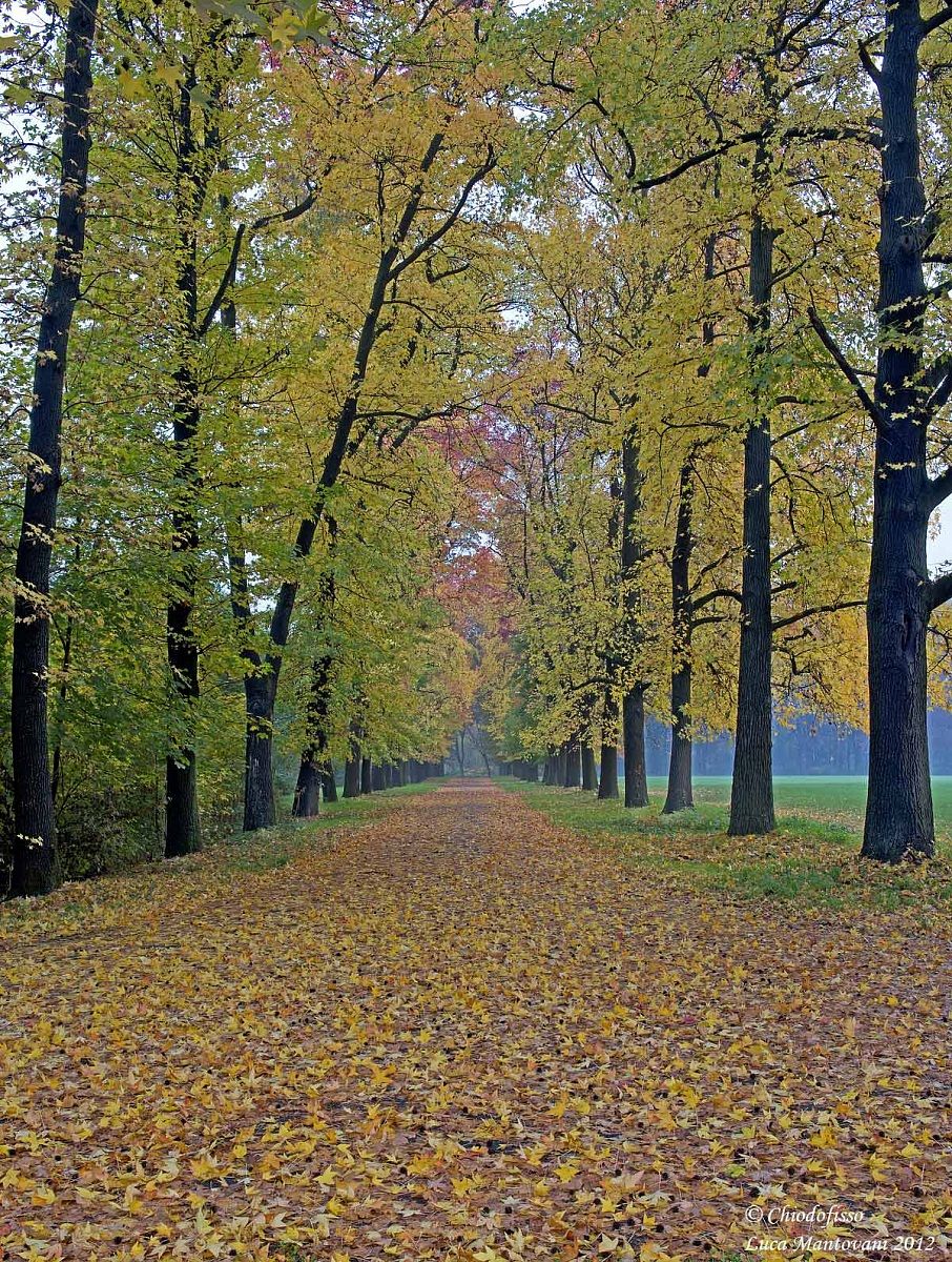 Al parco una domenica di pioggia 4