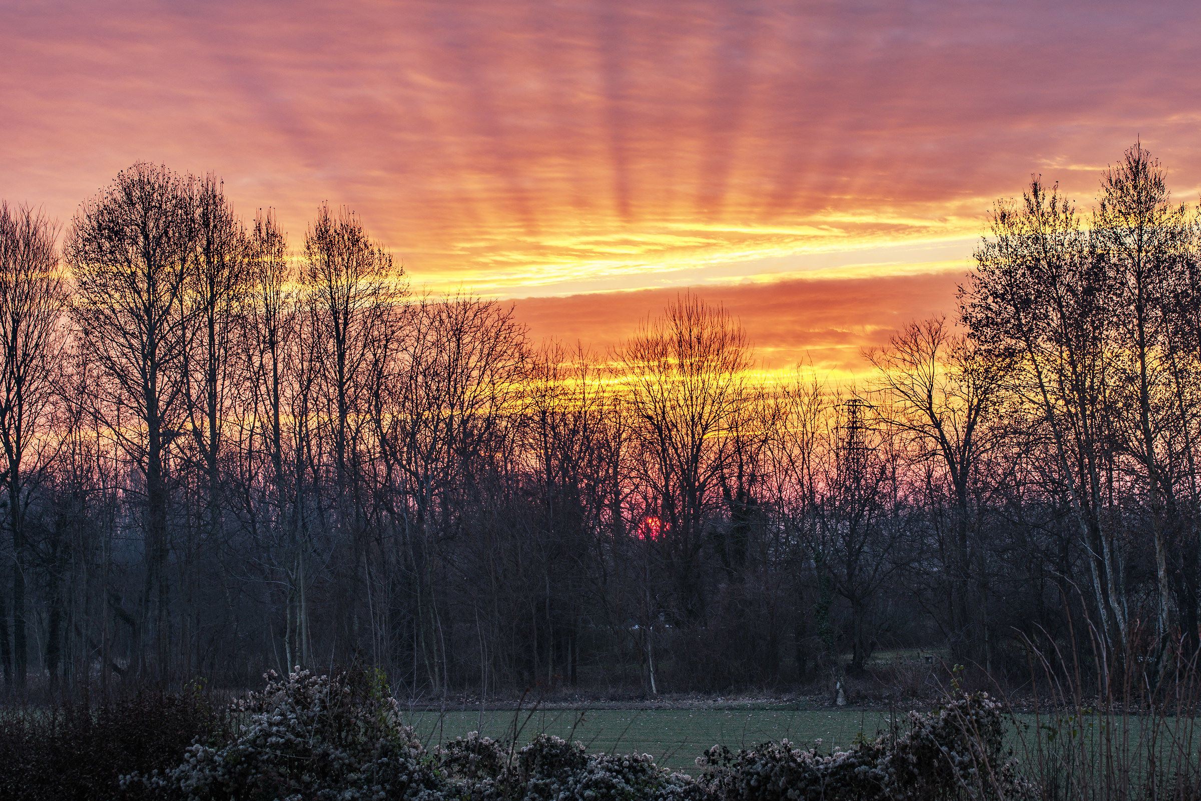 Light-North East sunsets