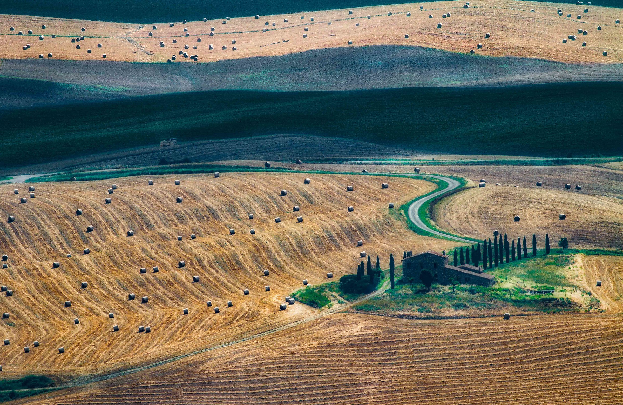 i Rotolononi fino anche in cielo!