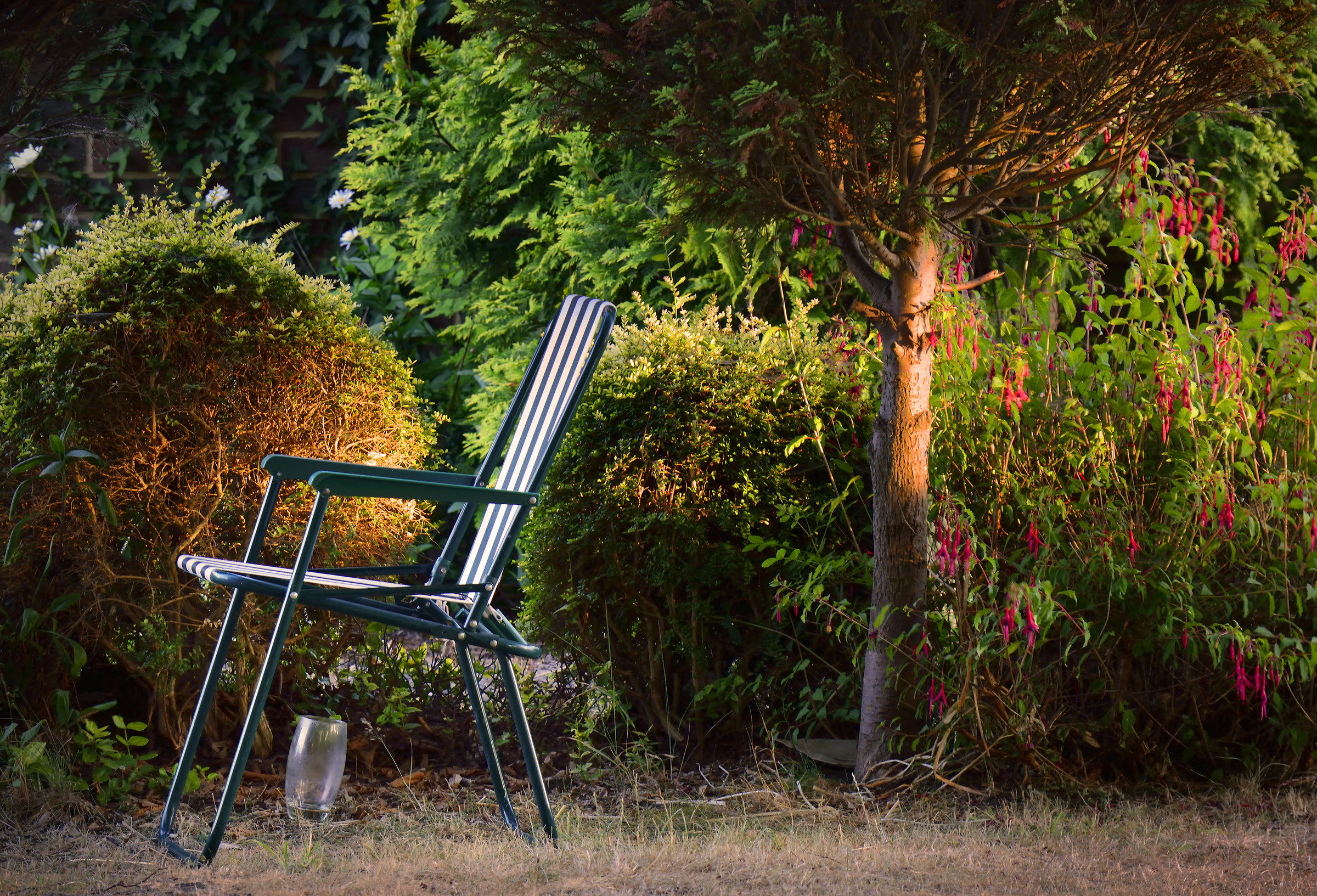 My Deckchair, My Garden, My Birthday Gift...