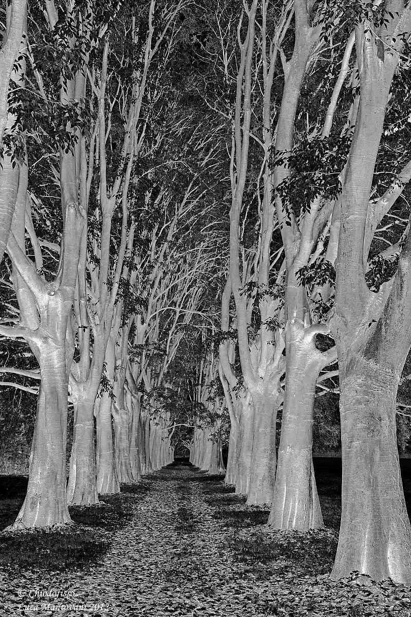 Al parco una domenica di pioggia