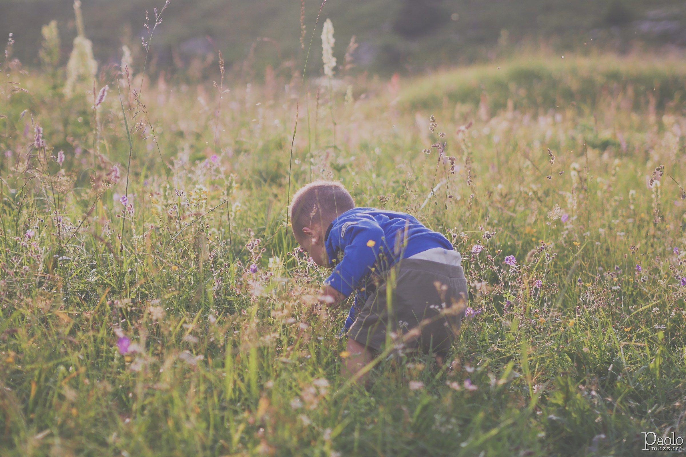 mani che cercano e sperimentano