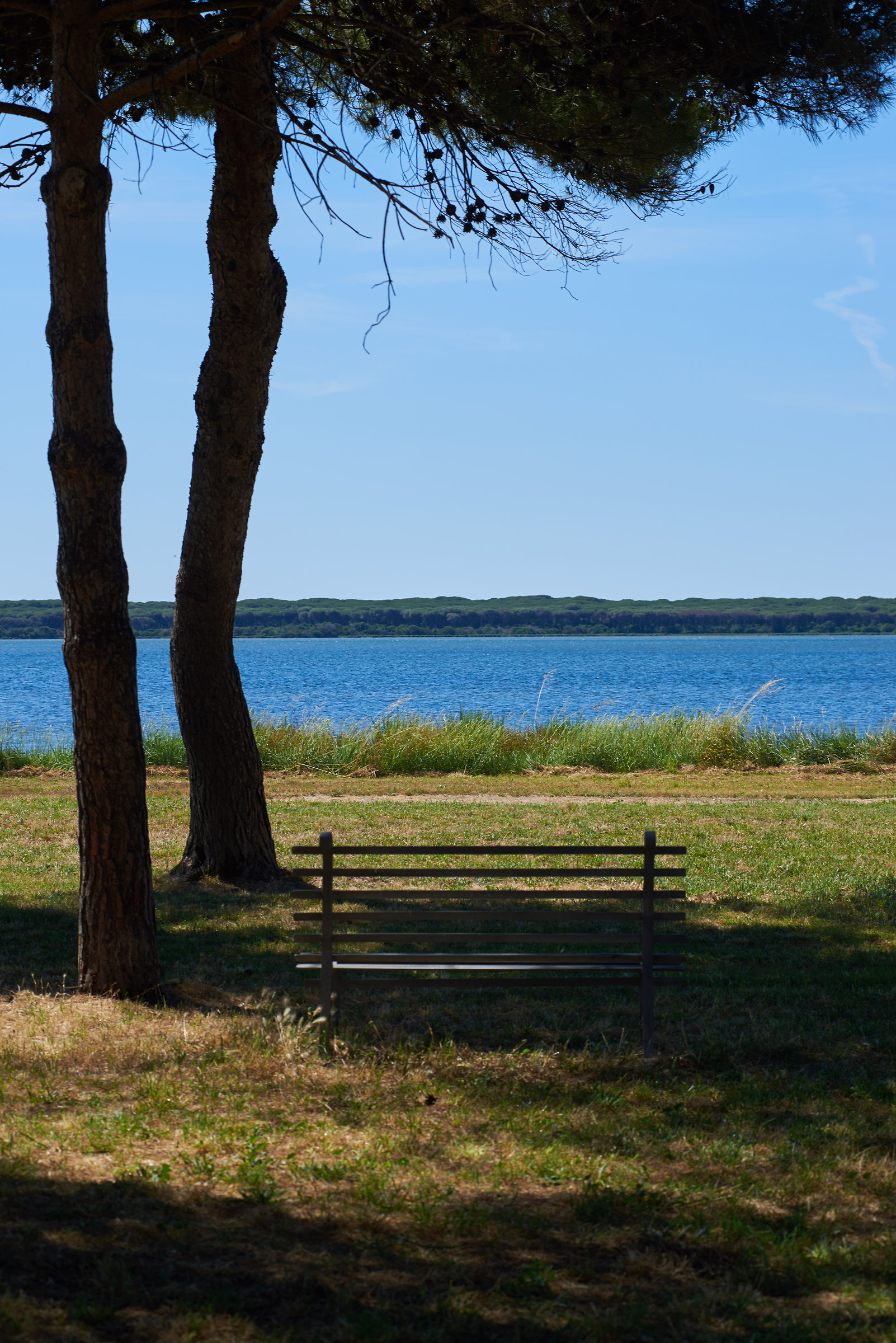 Relax on the Eastern Lagoon