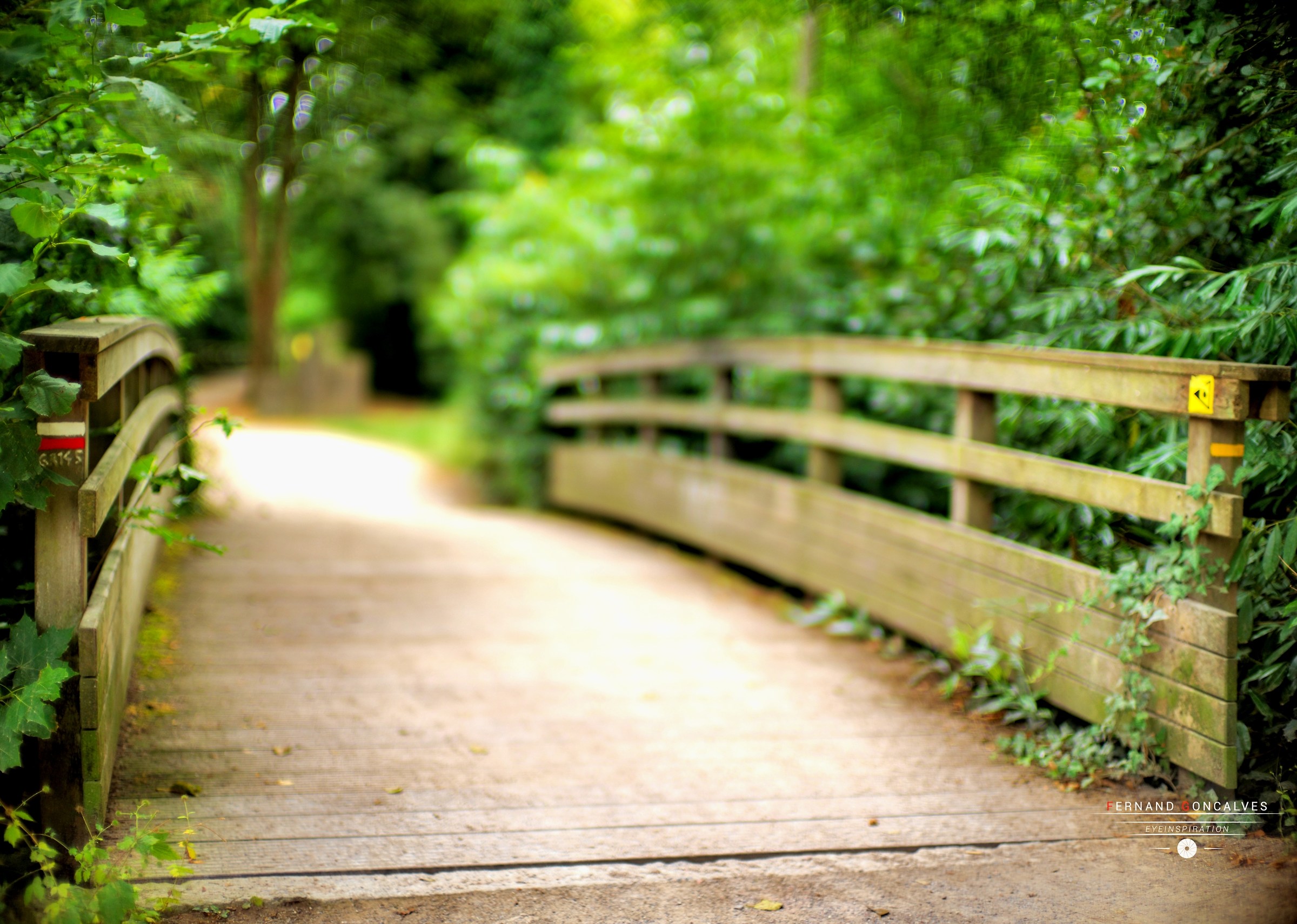Parc des Grandes Prairies Arras